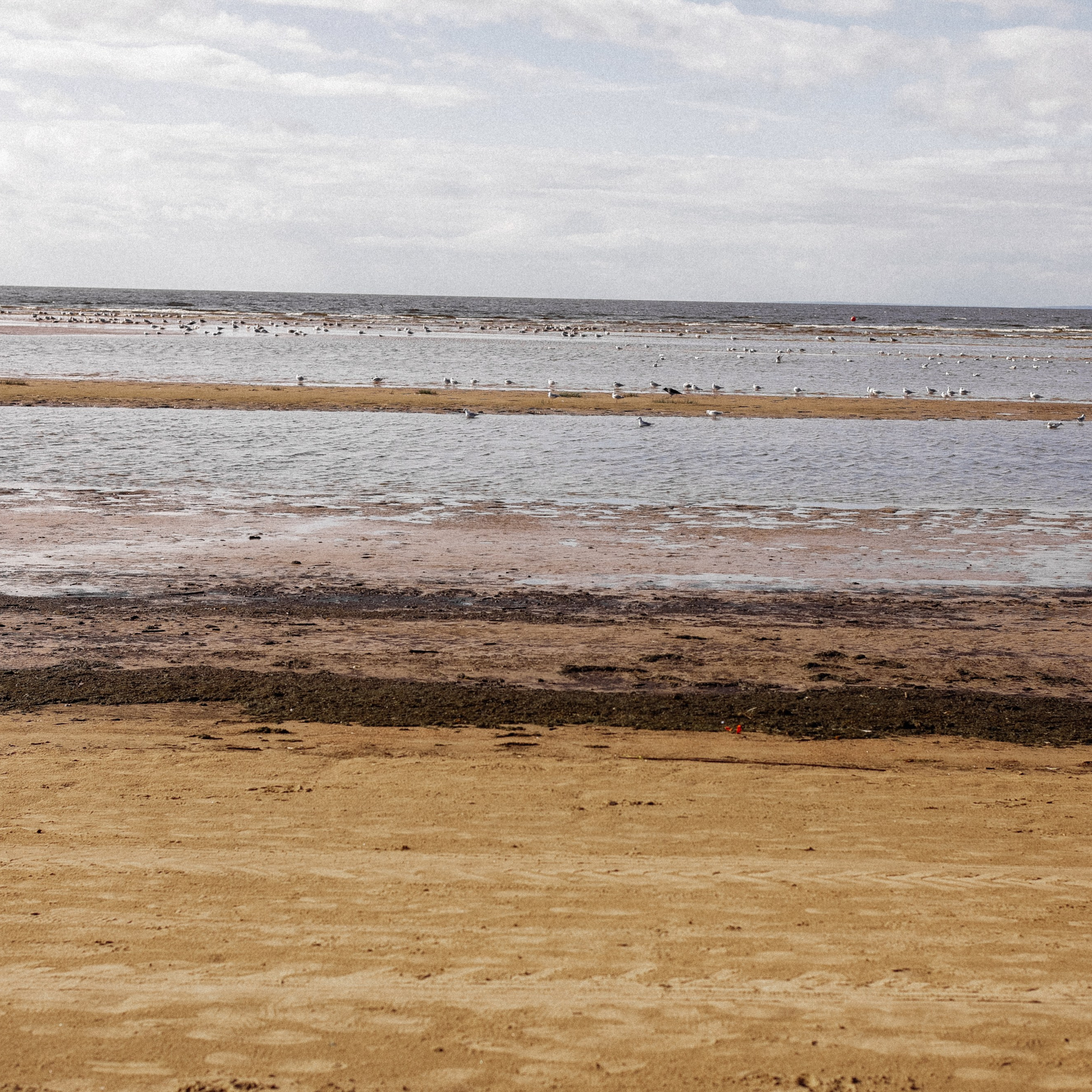 Паша и Света. Семейный свадебный фотограф Семен Егоров