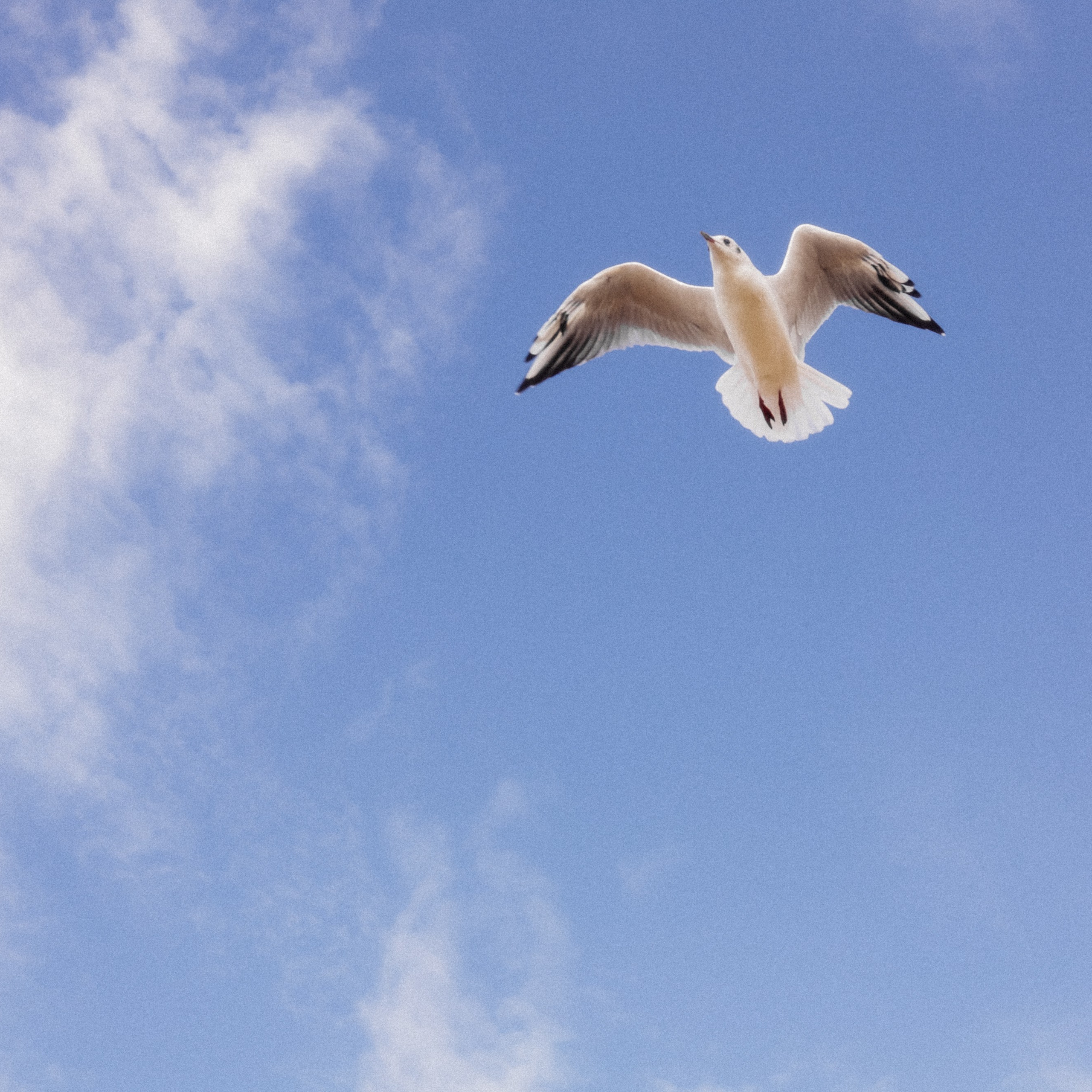 Паша и Света. Семейный свадебный фотограф Семен Егоров
