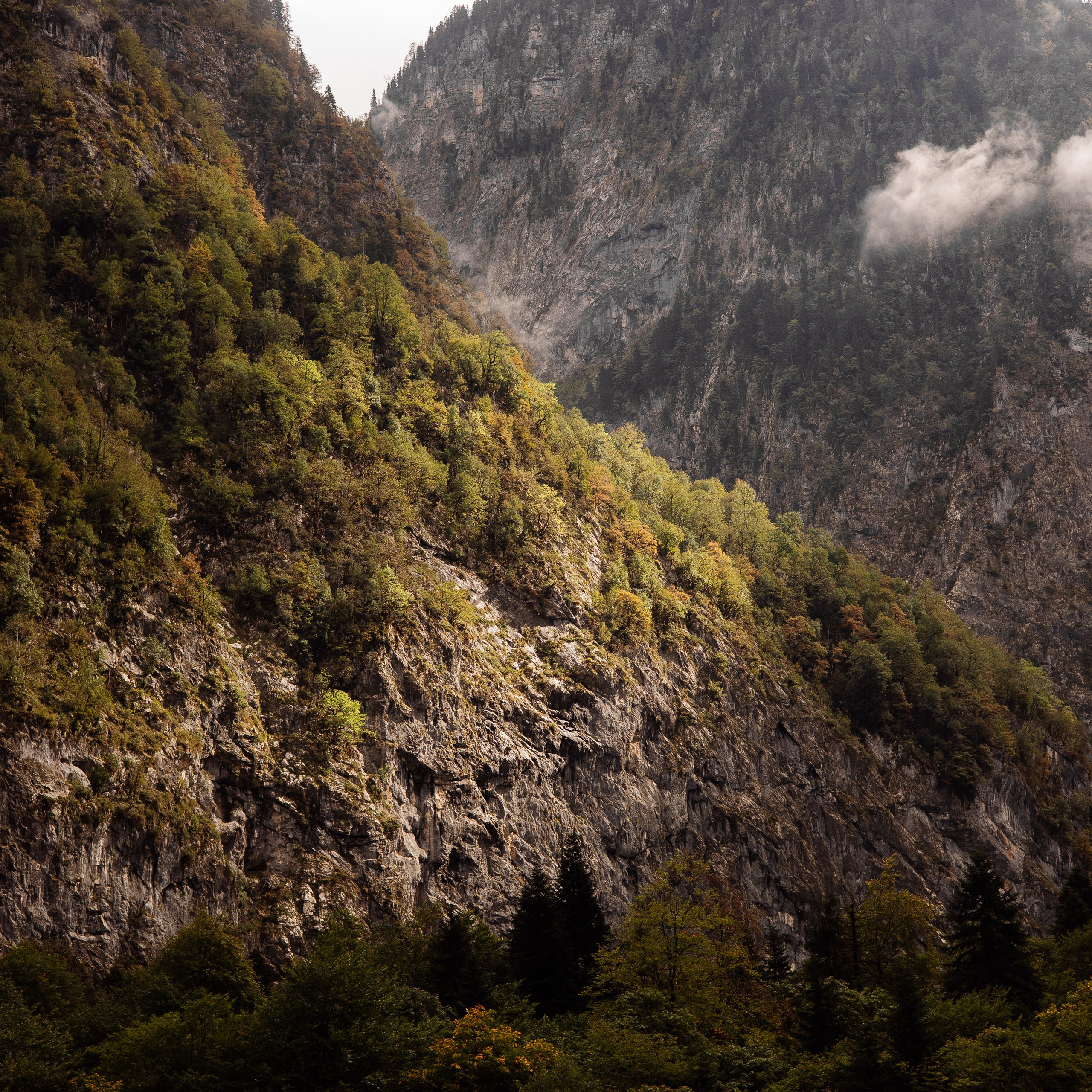 Рита (Абхазия). Семейный свадебный фотограф Семен Егоров