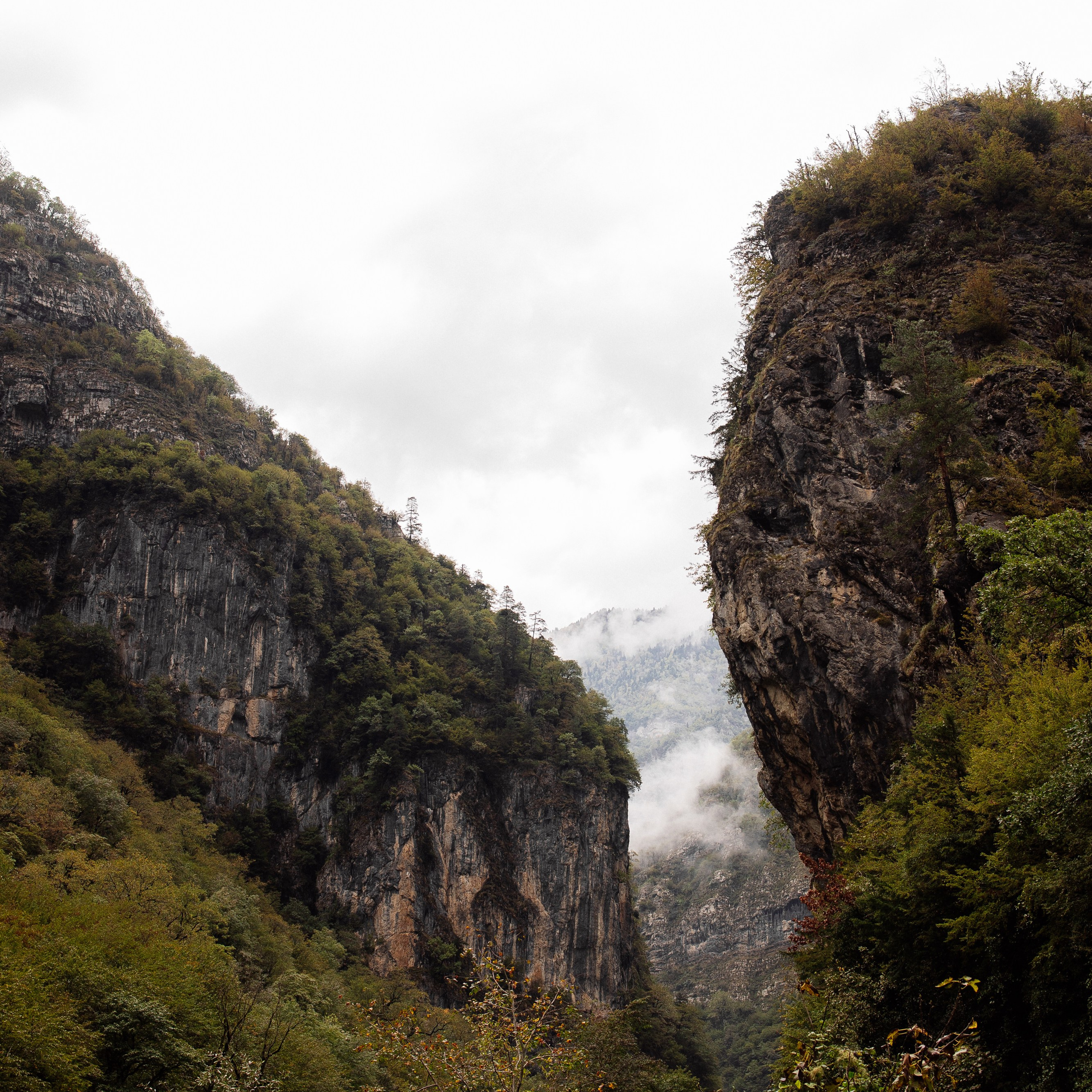 Рита (Абхазия). Семейный свадебный фотограф Семен Егоров