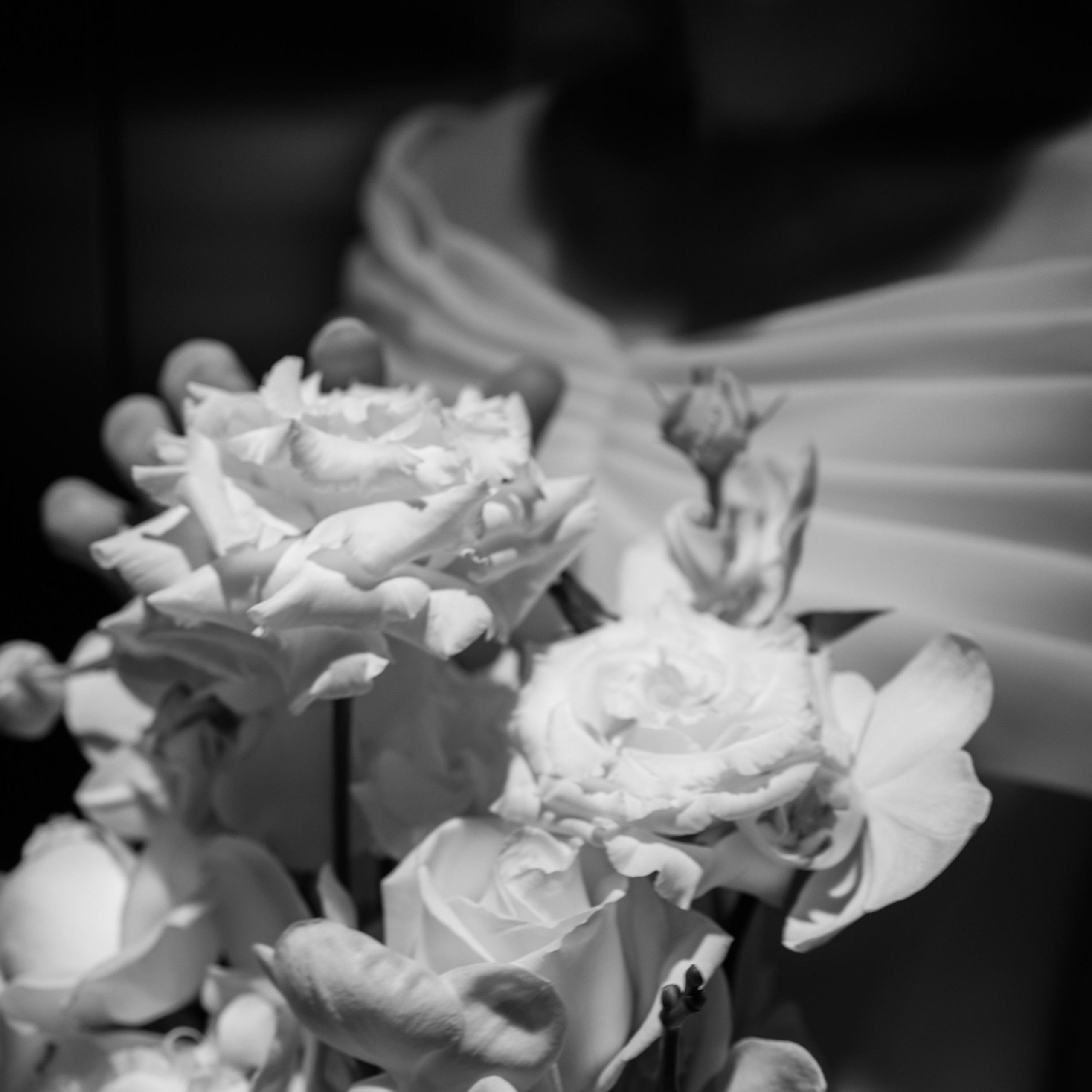 Никодим и Мариам. Семейный свадебный фотограф Семен Егоров