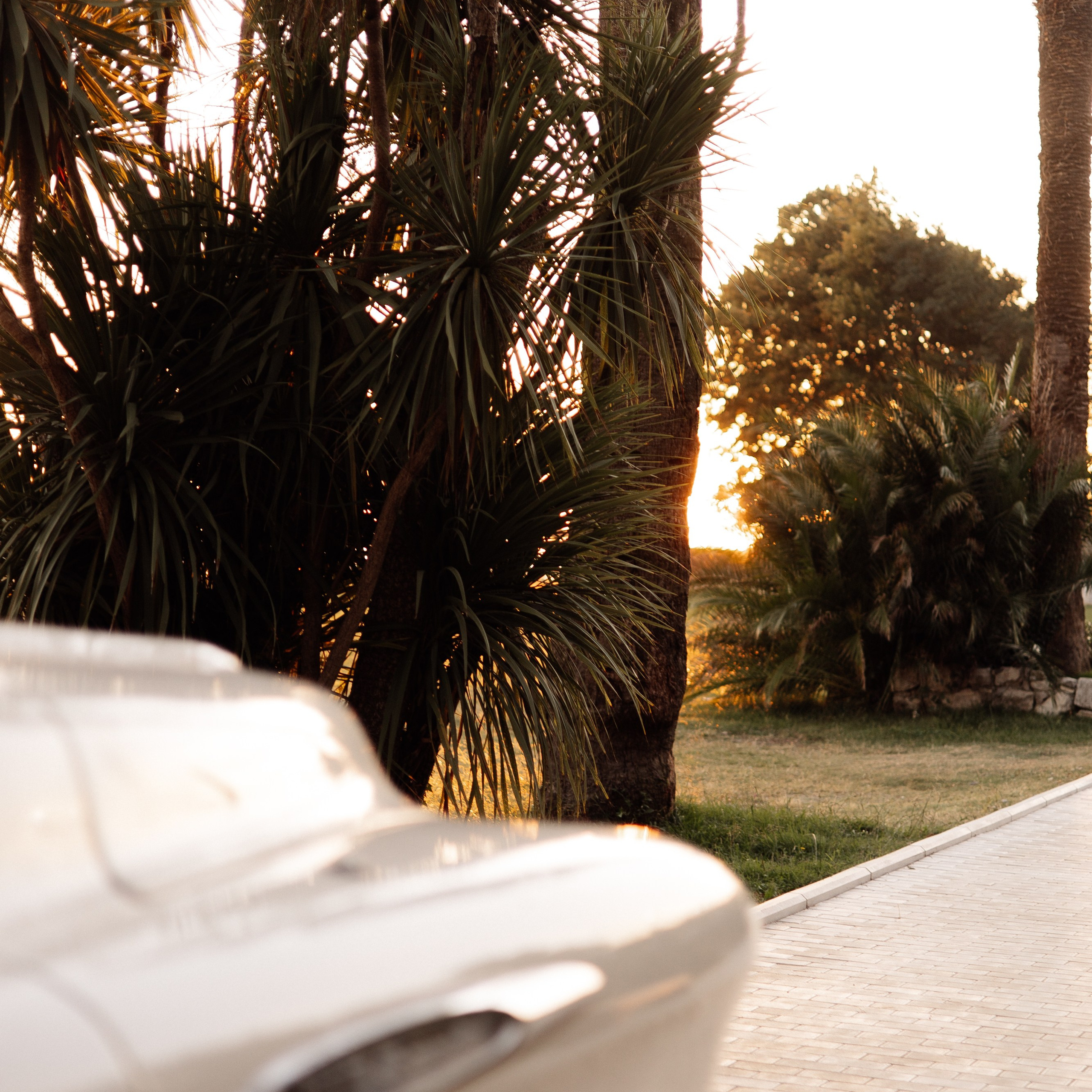 Рита (Абхазия). Семейный свадебный фотограф Семен Егоров