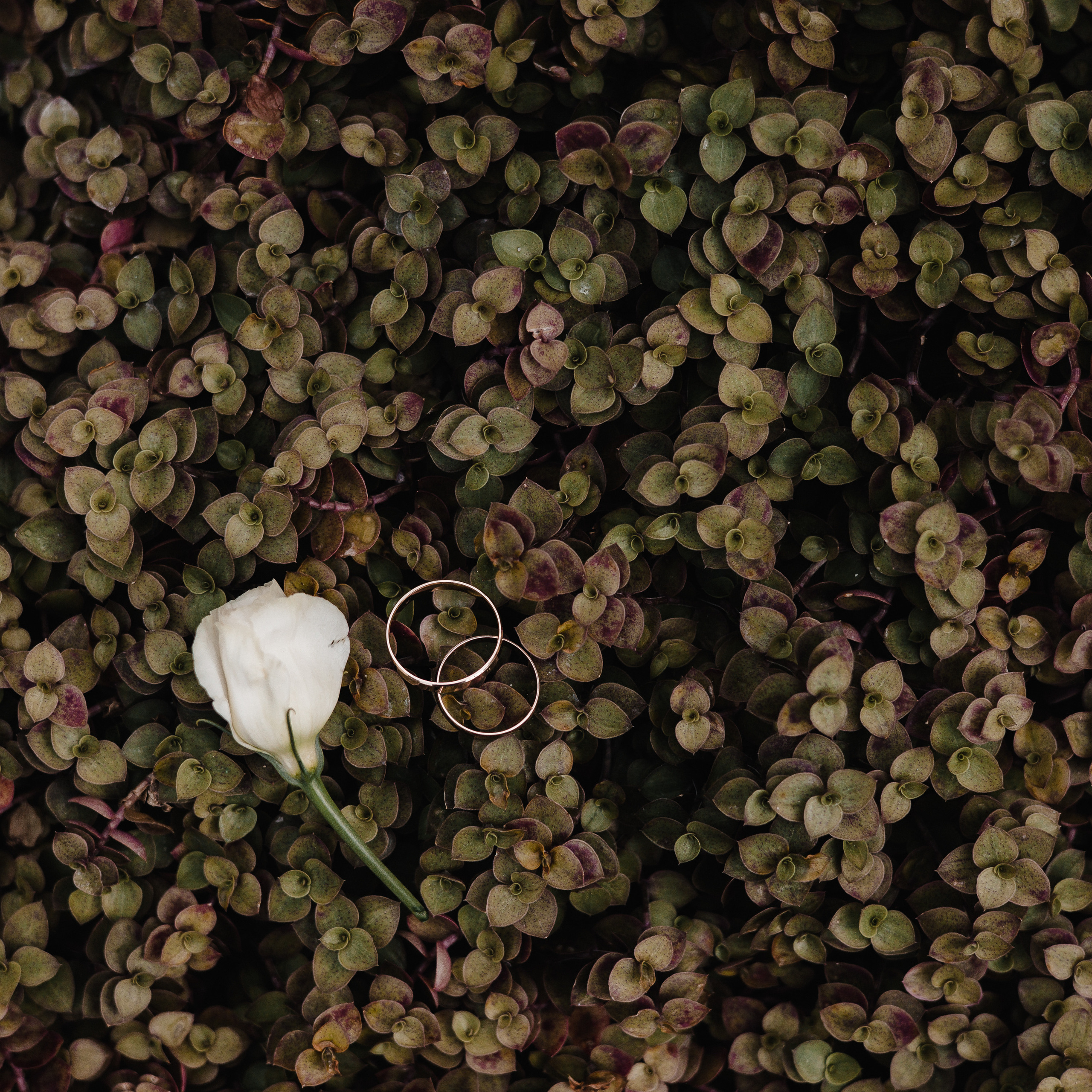 Слава и Алевтина