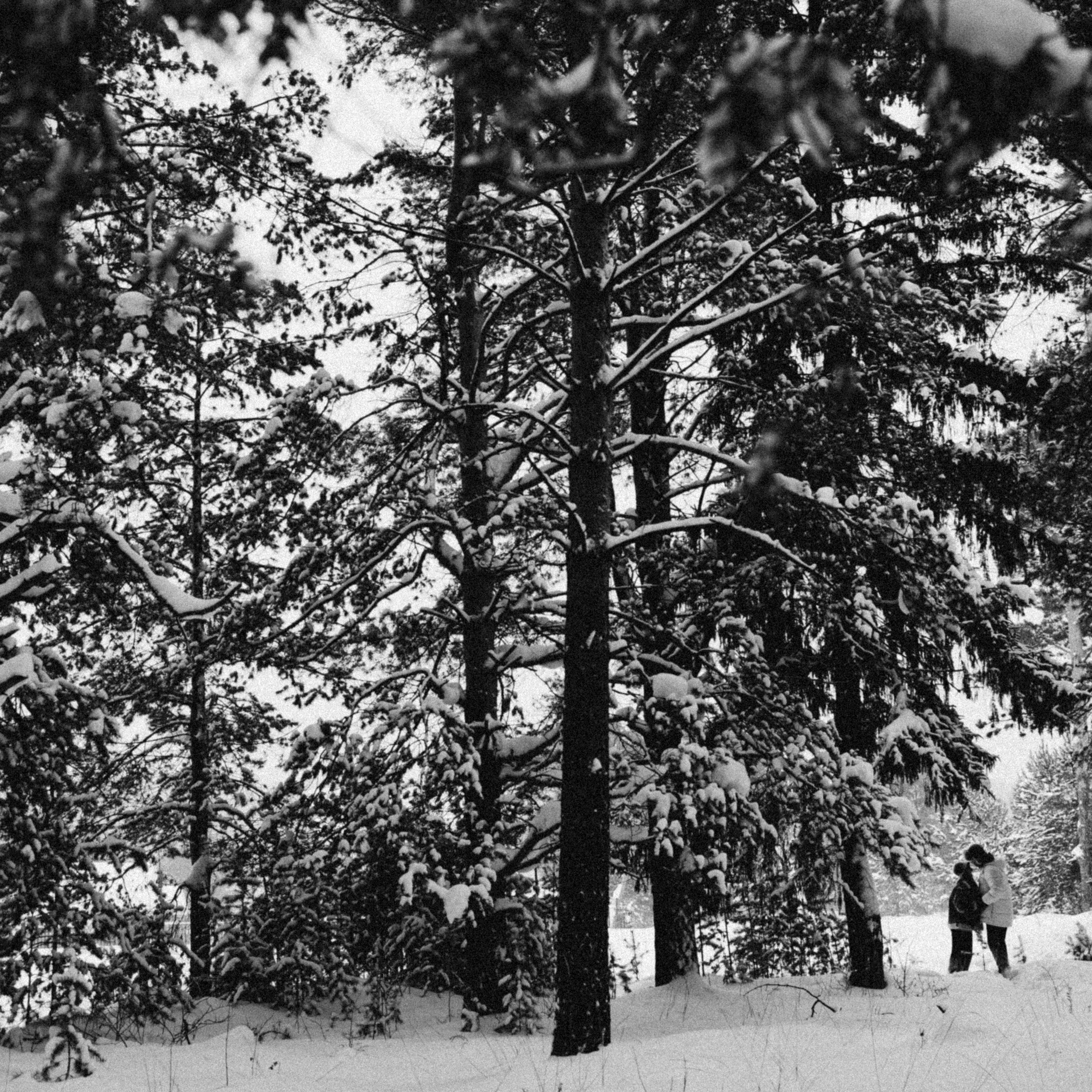 Саша и Маша. Семейный свадебный фотограф Семен Егоров