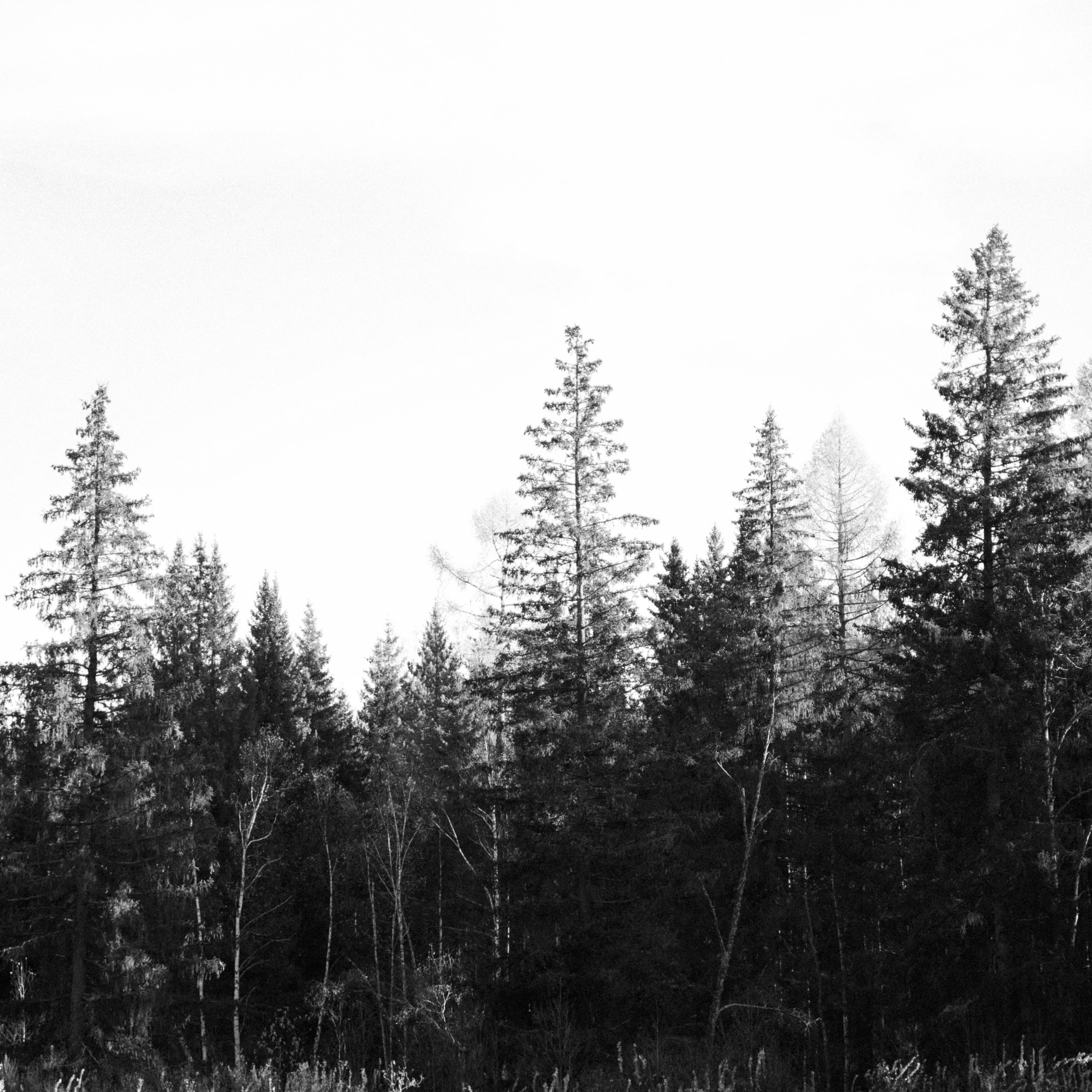 Оксана и Дима. Семейный свадебный фотограф Семен Егоров