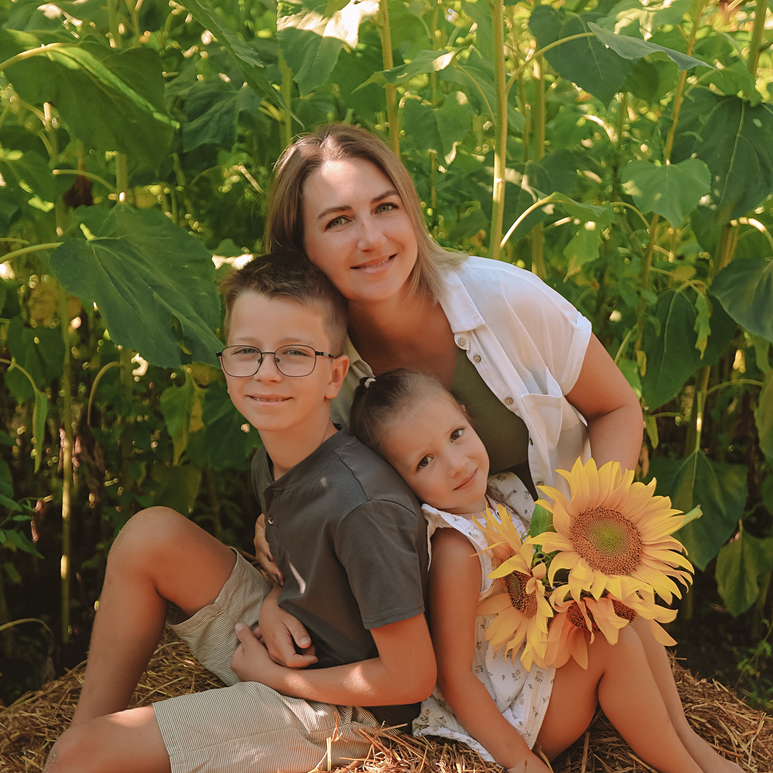 подсолнухи