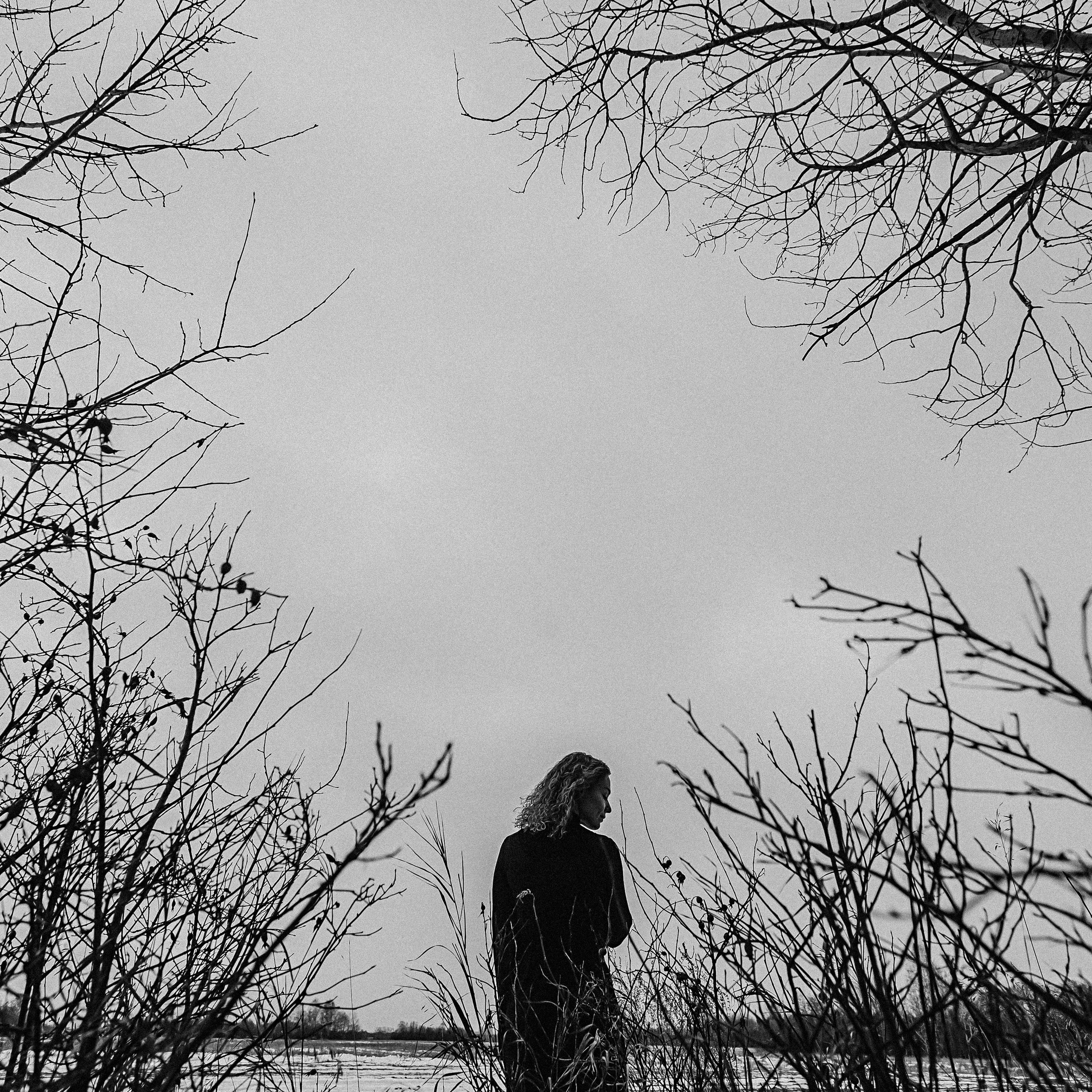 Меланхолия (поле)