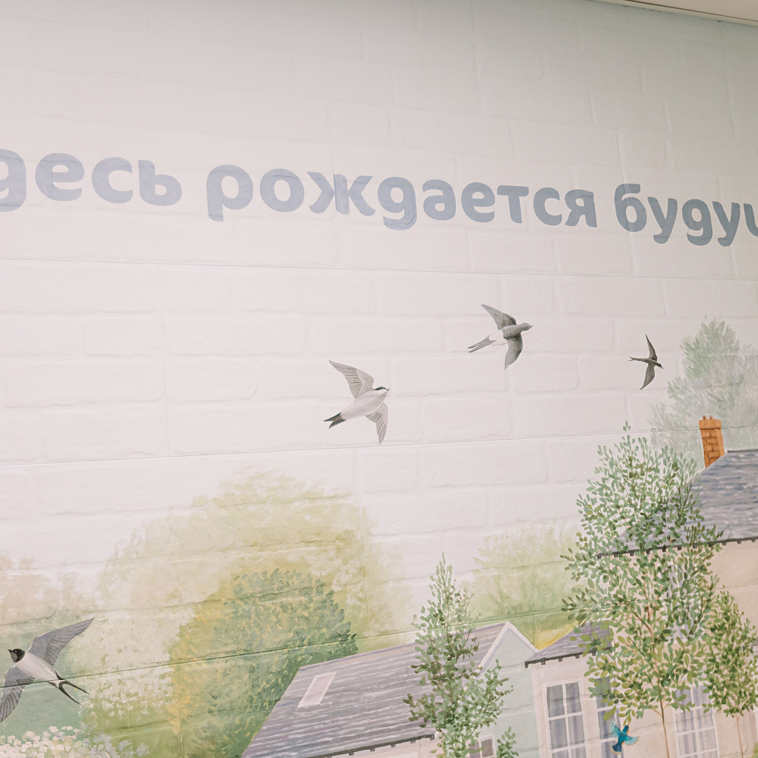 Отзывы. Семейный фотограф Тюмень, фотограф на роды Салмина Мария