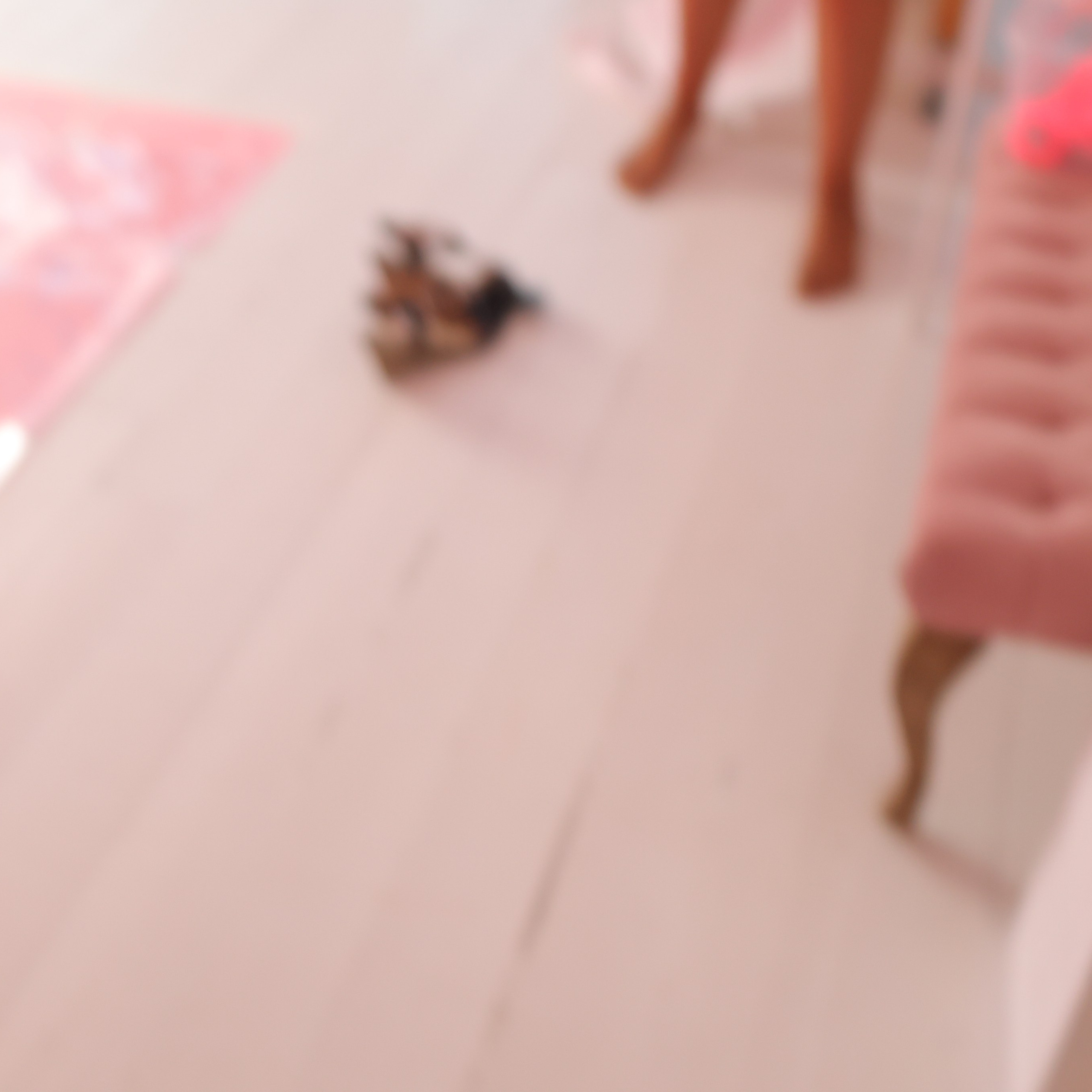 Отзывы. Семейный фотограф Тюмень, фотограф на роды Салмина Мария