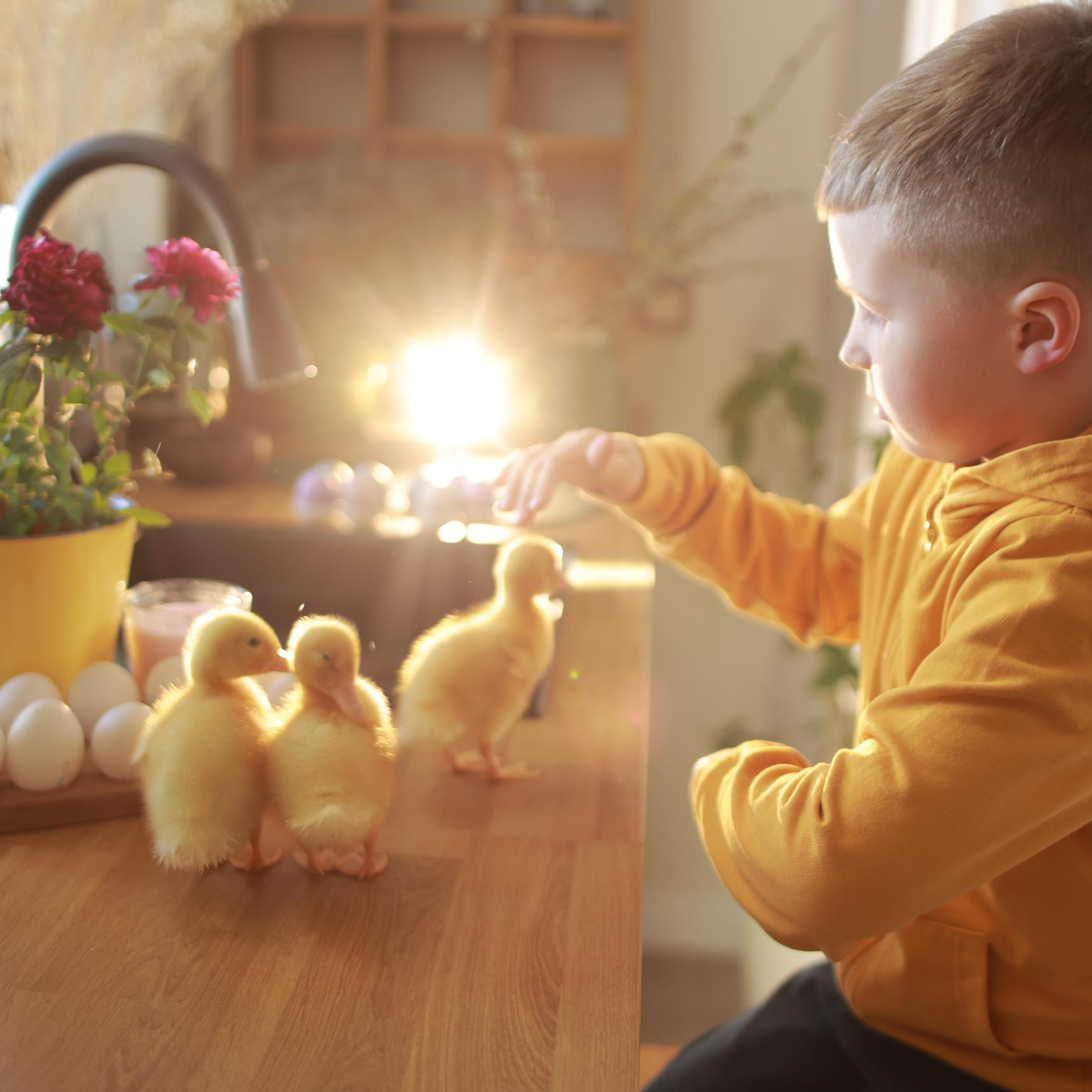 Отзывы. Семейный фотограф Тюмень, фотограф на роды Салмина Мария