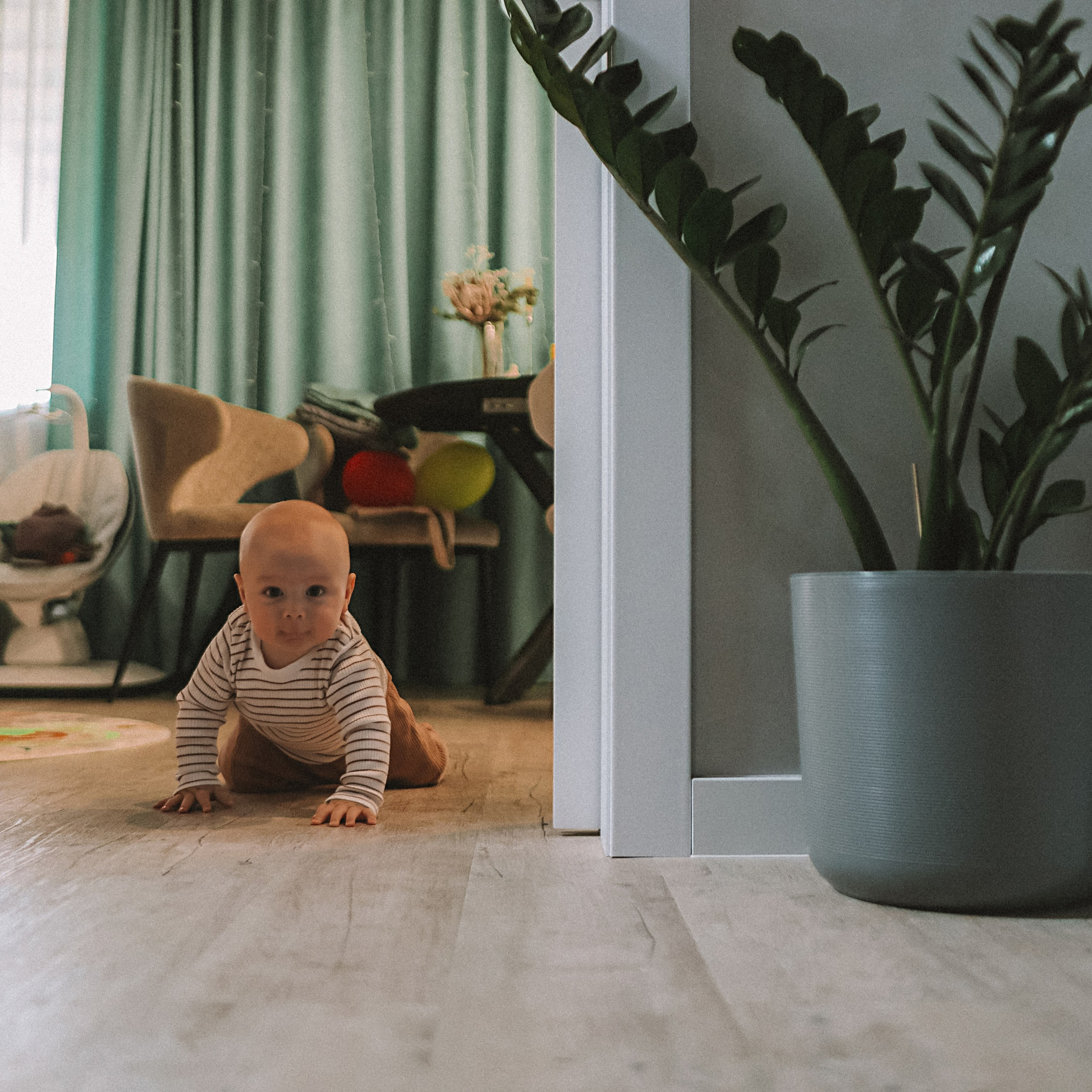 Мише 8 месяцев