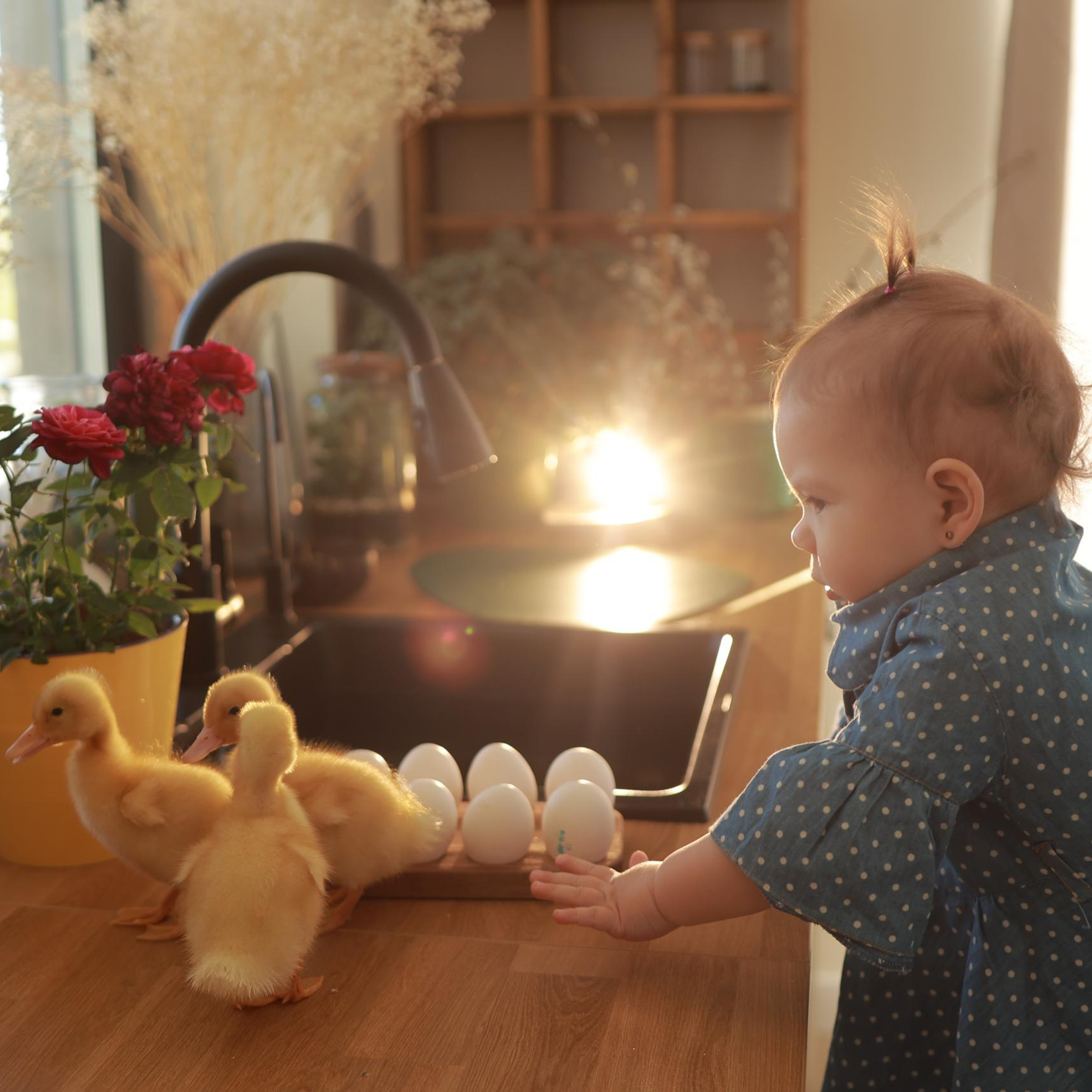 Отзывы. Семейный фотограф Тюмень, фотограф на роды Салмина Мария