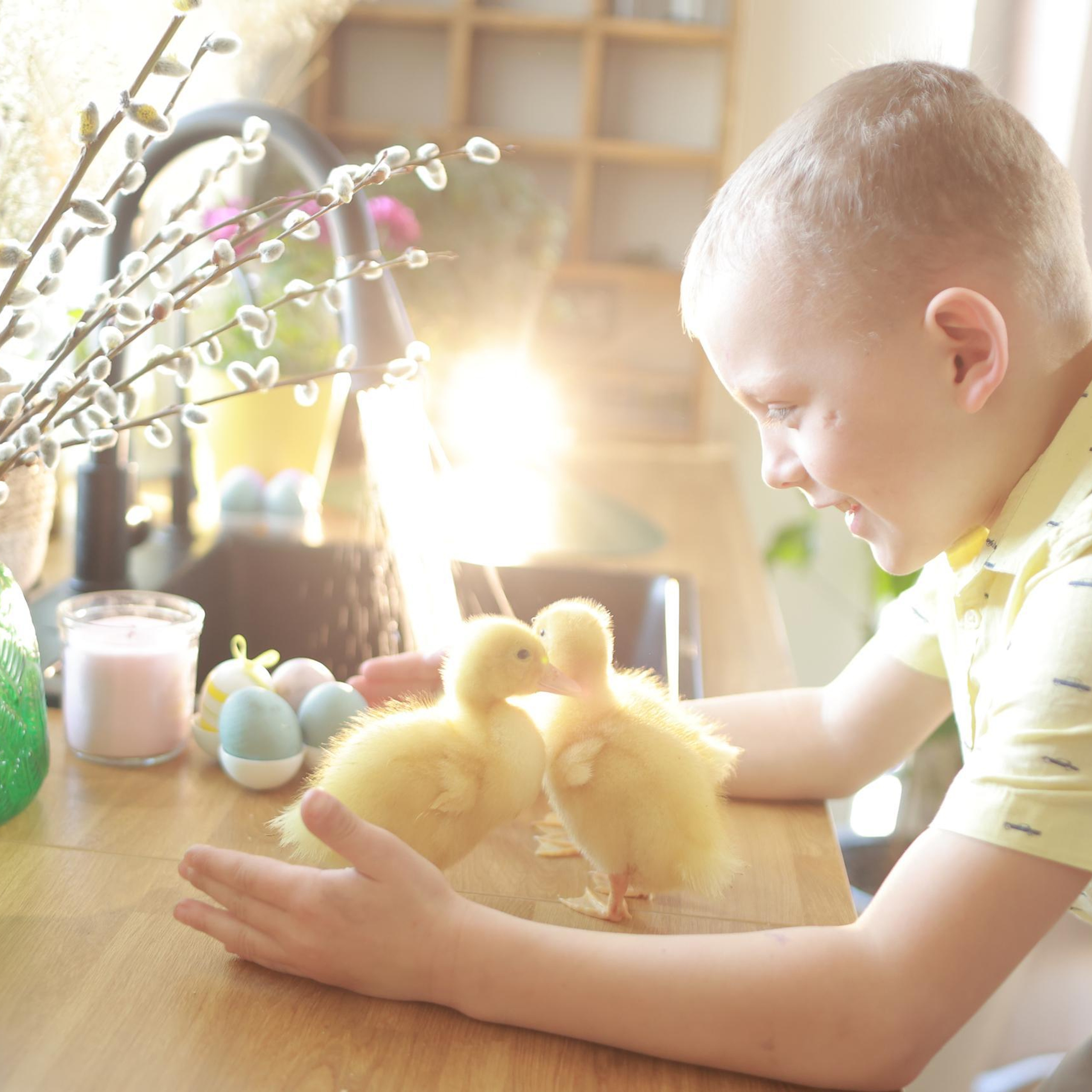 Отзывы. Семейный фотограф Тюмень, фотограф на роды Салмина Мария
