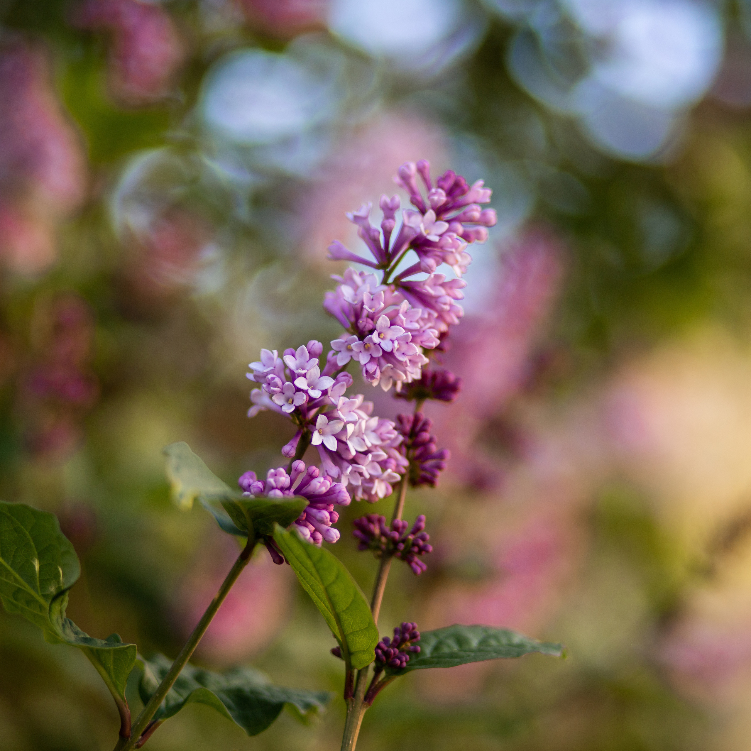 Отзывы. Семейный и детский фотограф в Мурманске Карина Березина