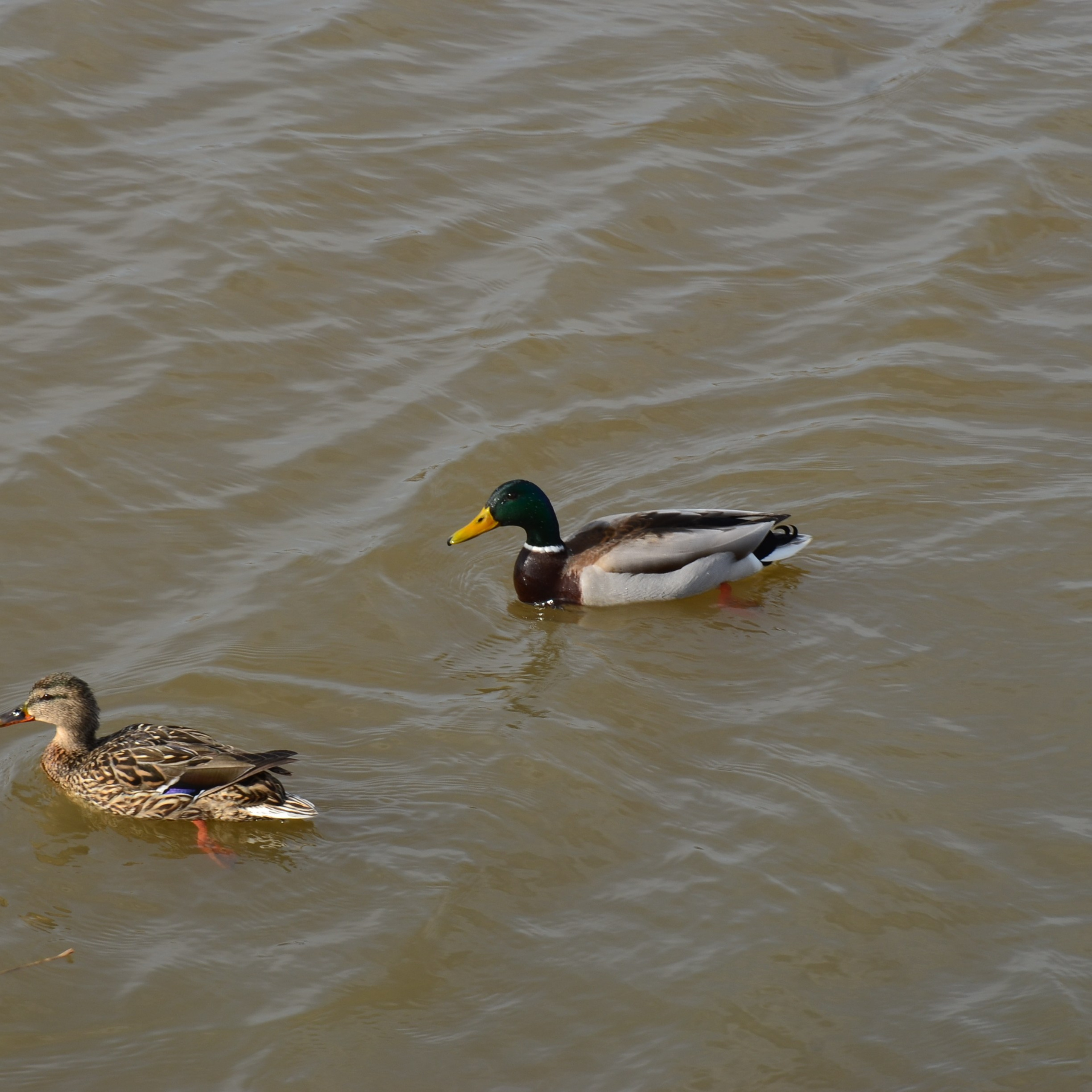 Фотограф viktor viktor