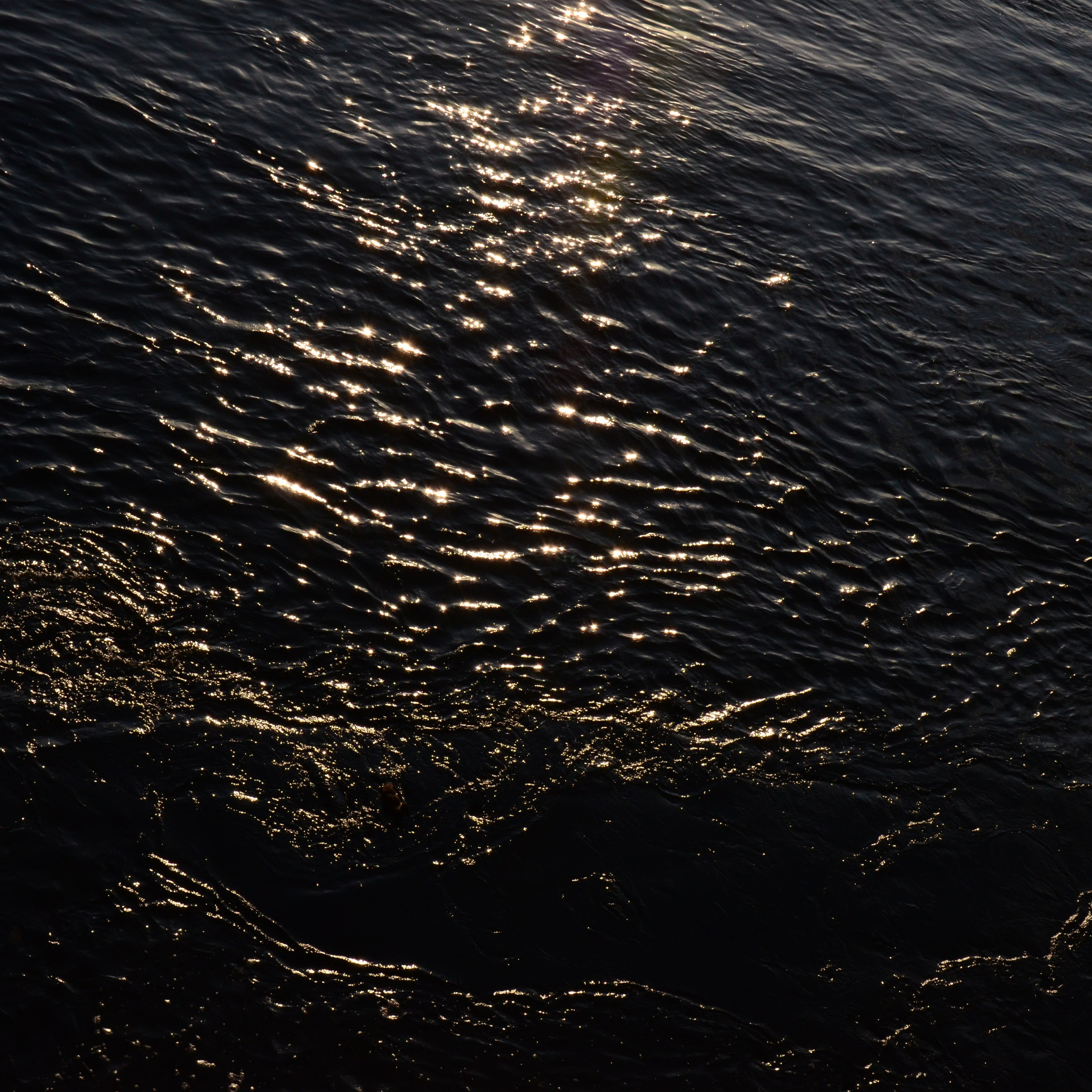 Фотограф viktor viktor