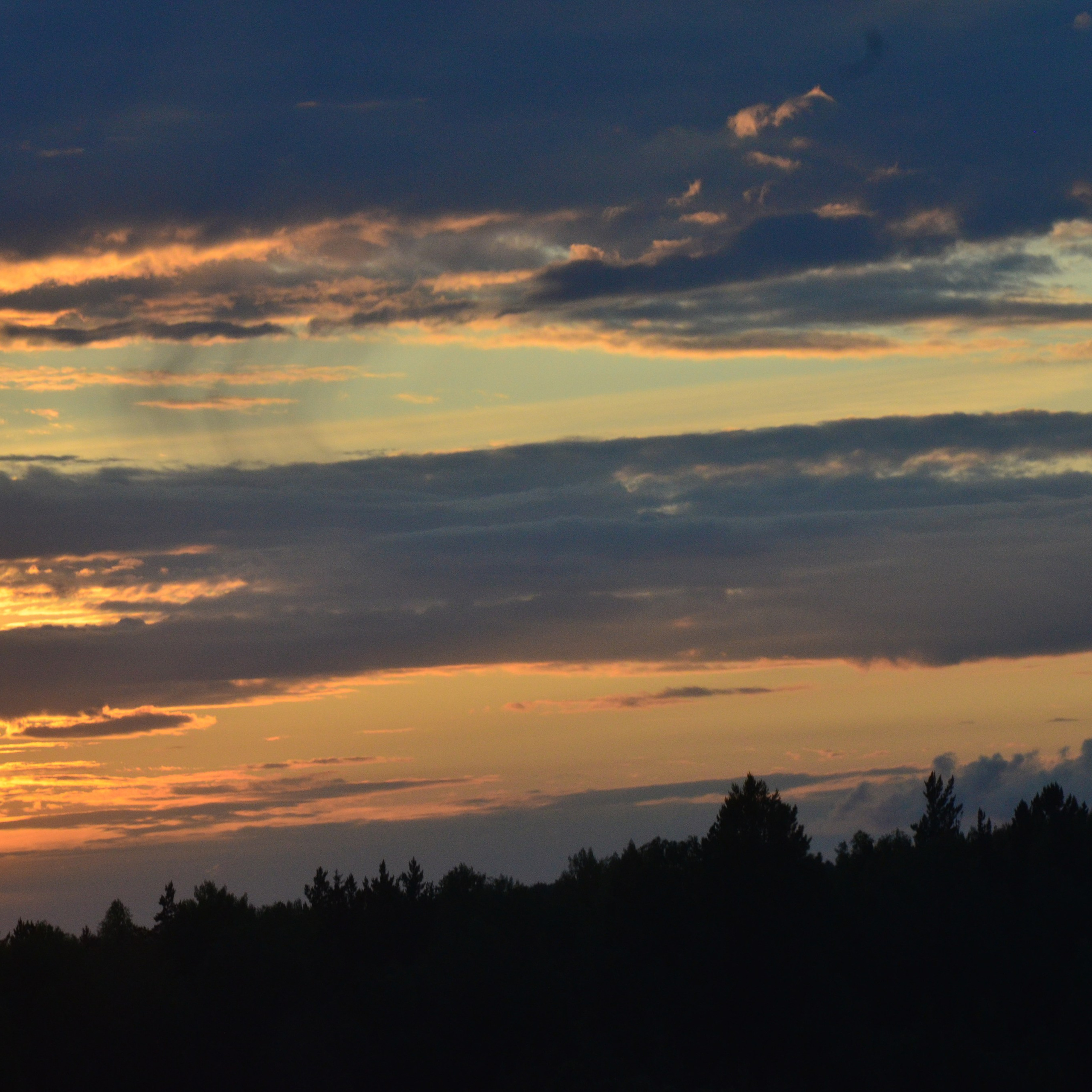 Фотограф viktor viktor