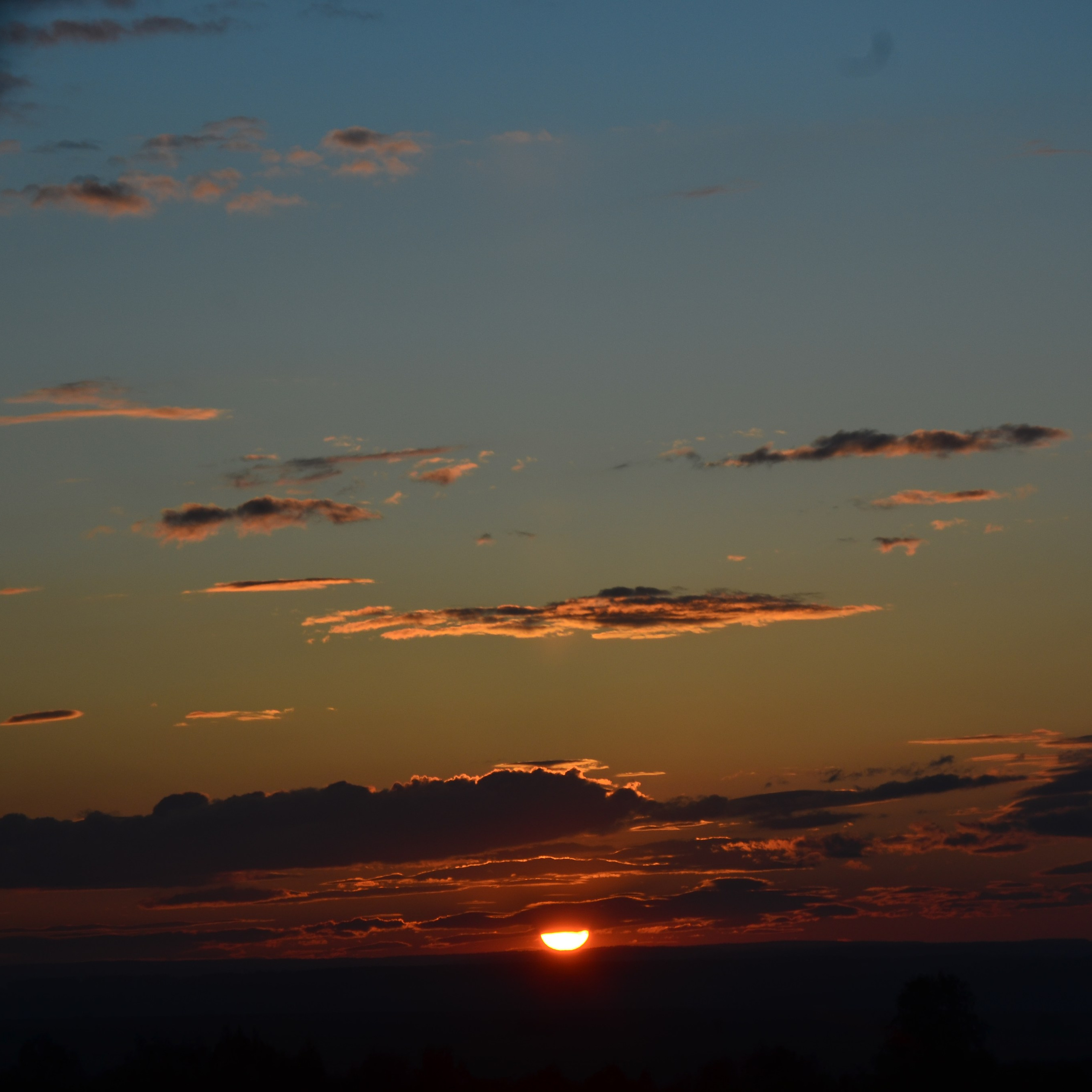 Фотограф viktor viktor