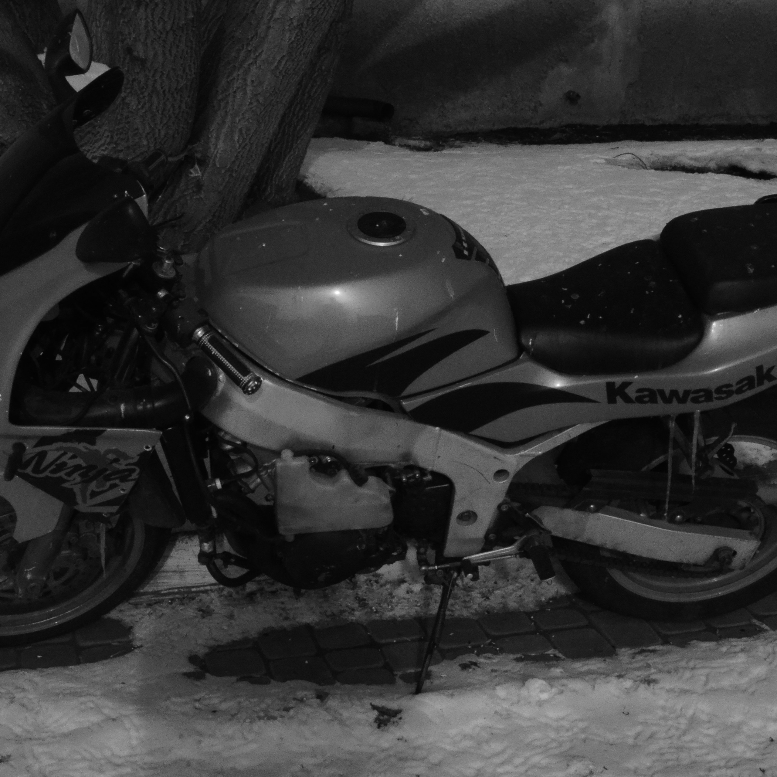 Фотограф viktor viktor