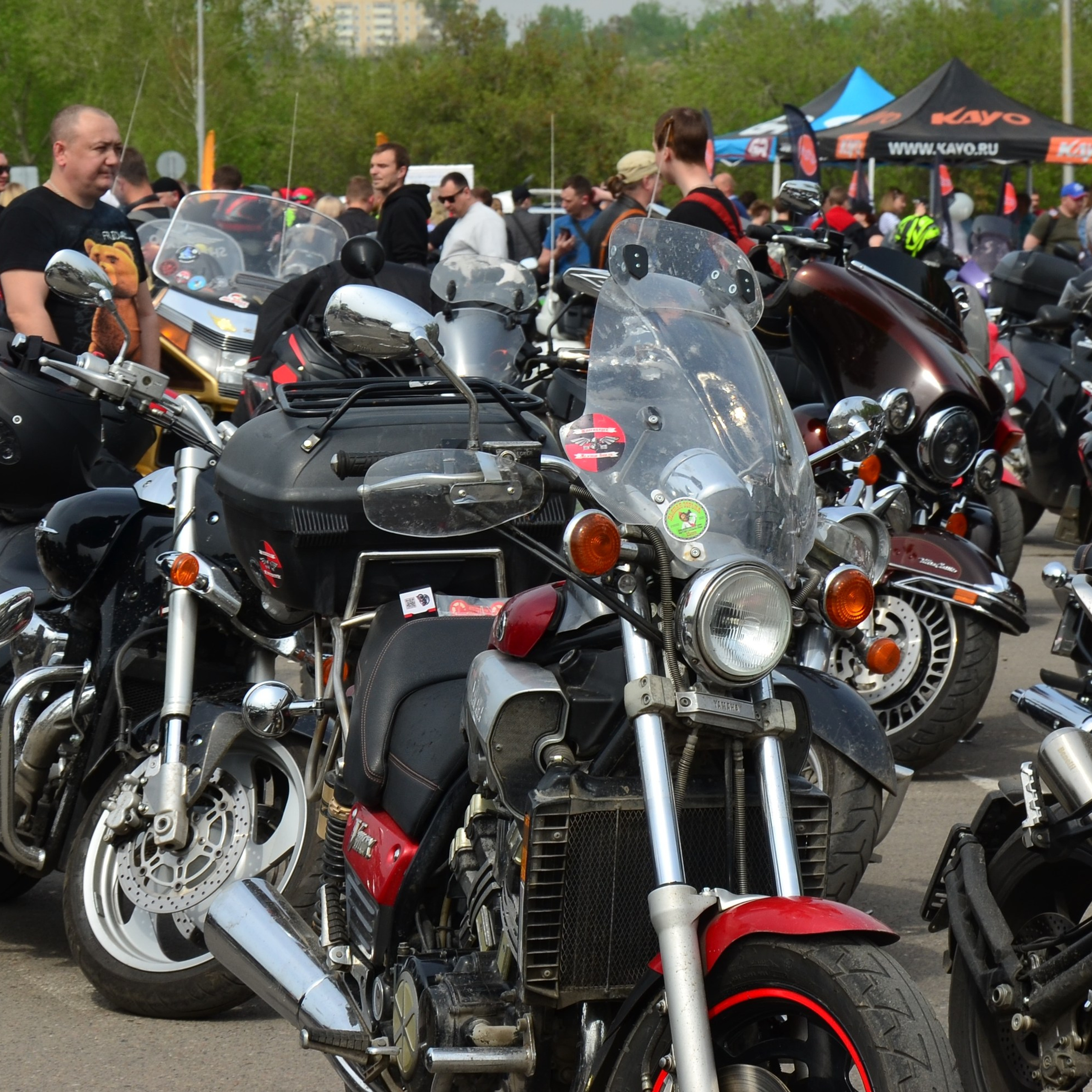 Фотограф viktor viktor