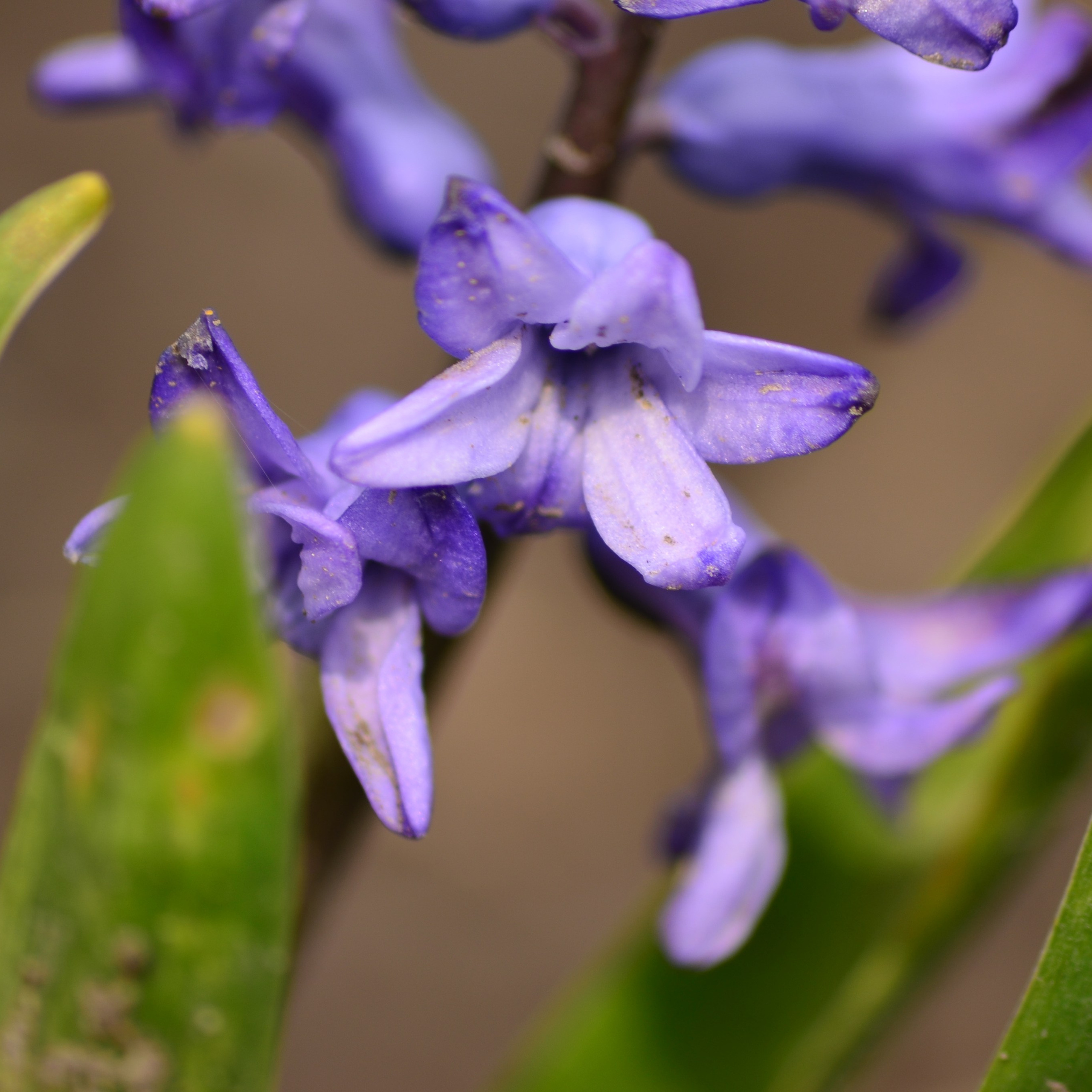 Фотограф viktor viktor