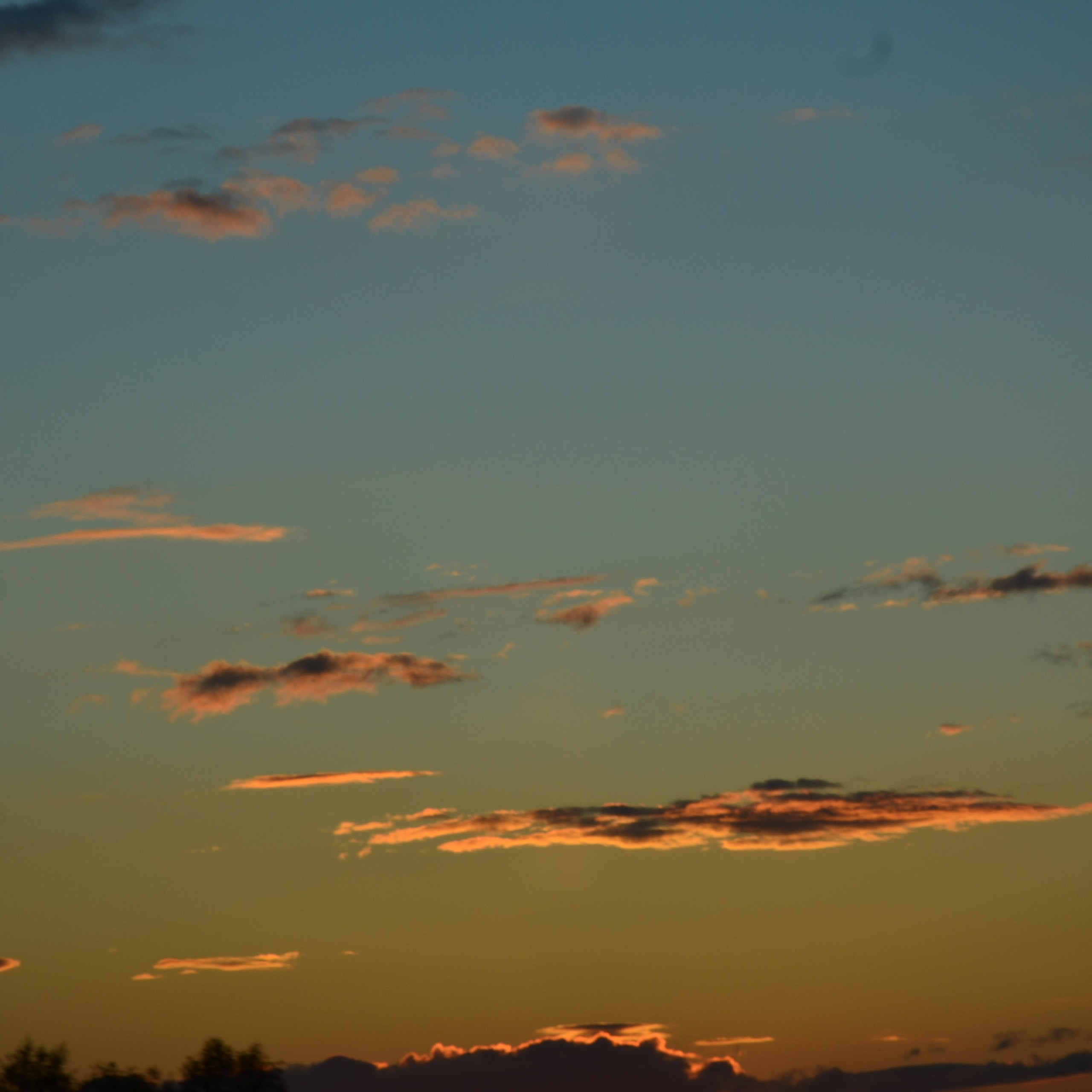 Фотограф viktor viktor