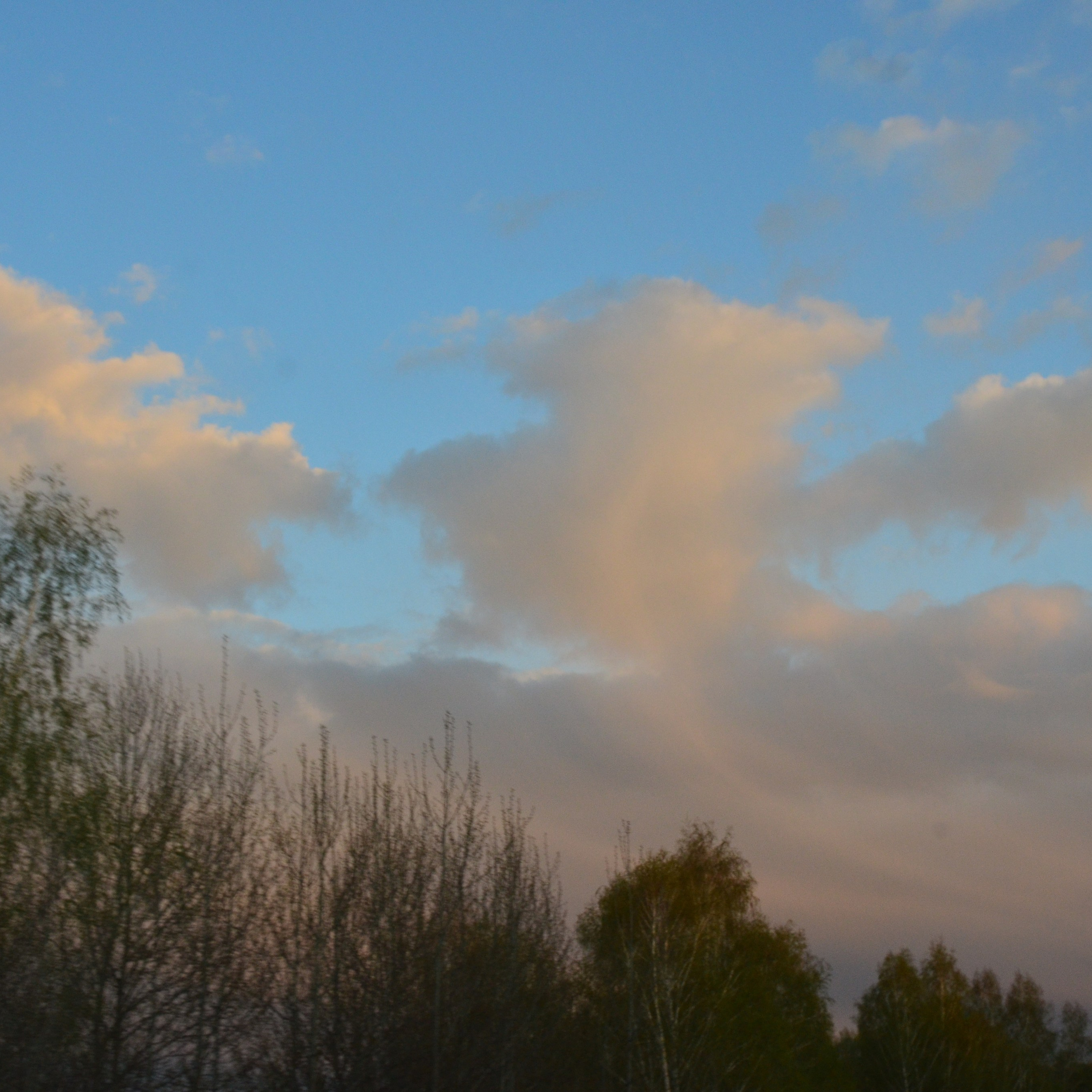 Фотограф viktor viktor