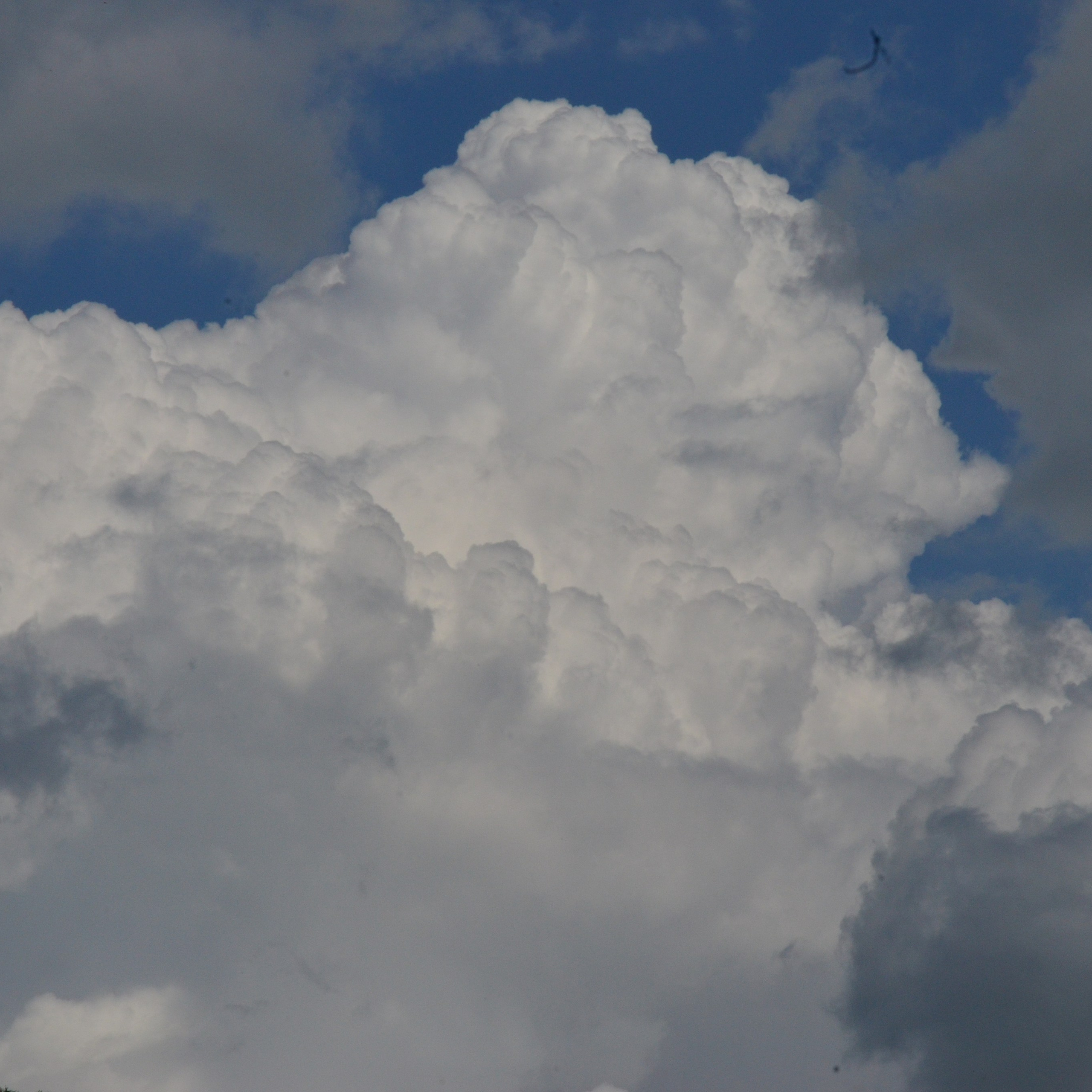 Фотограф viktor viktor