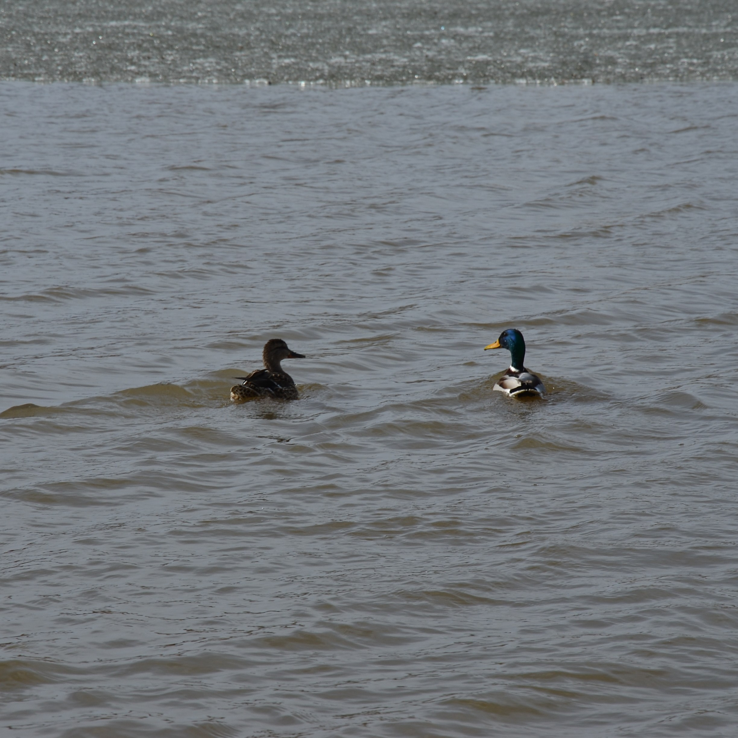 Фотограф viktor viktor