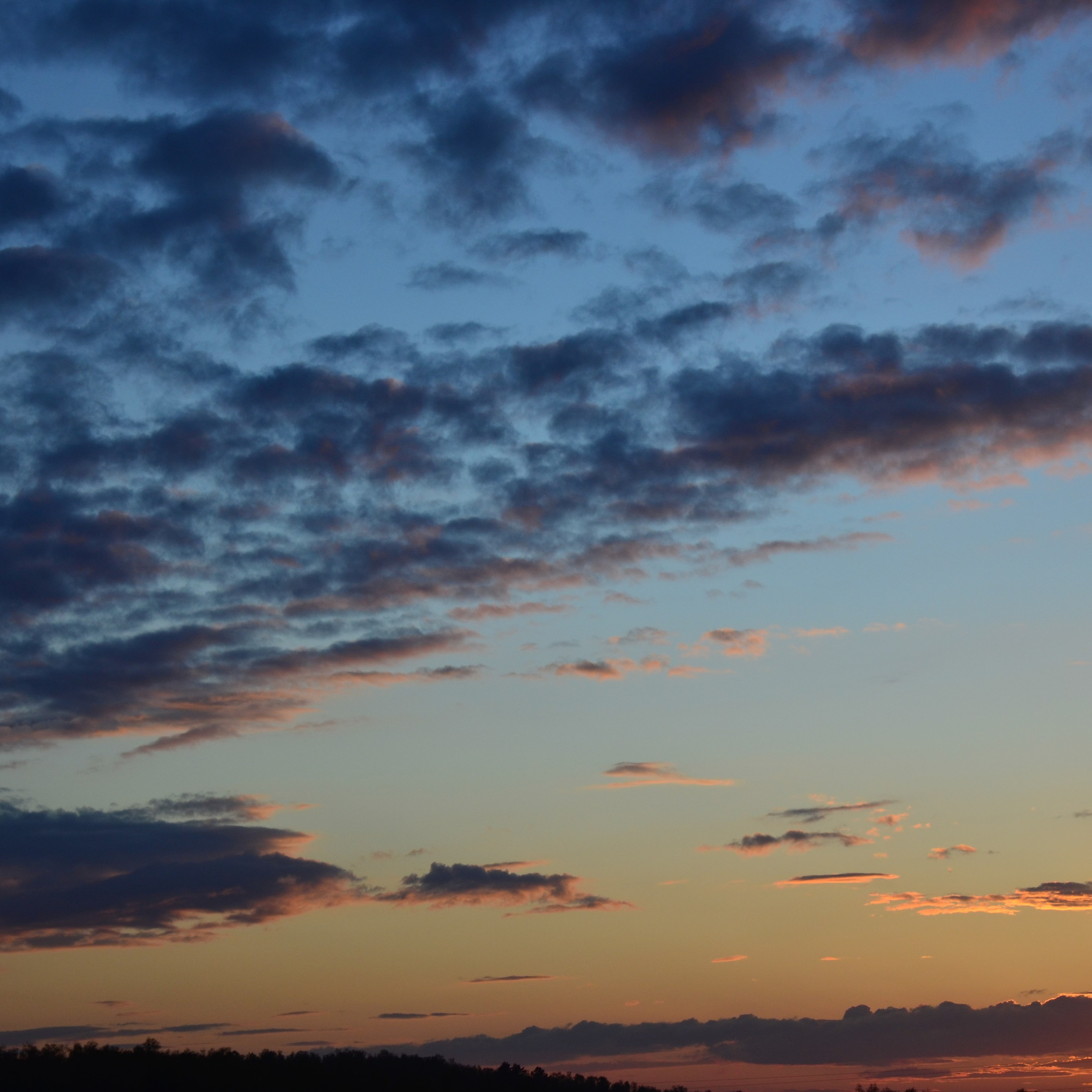 Фотограф viktor viktor