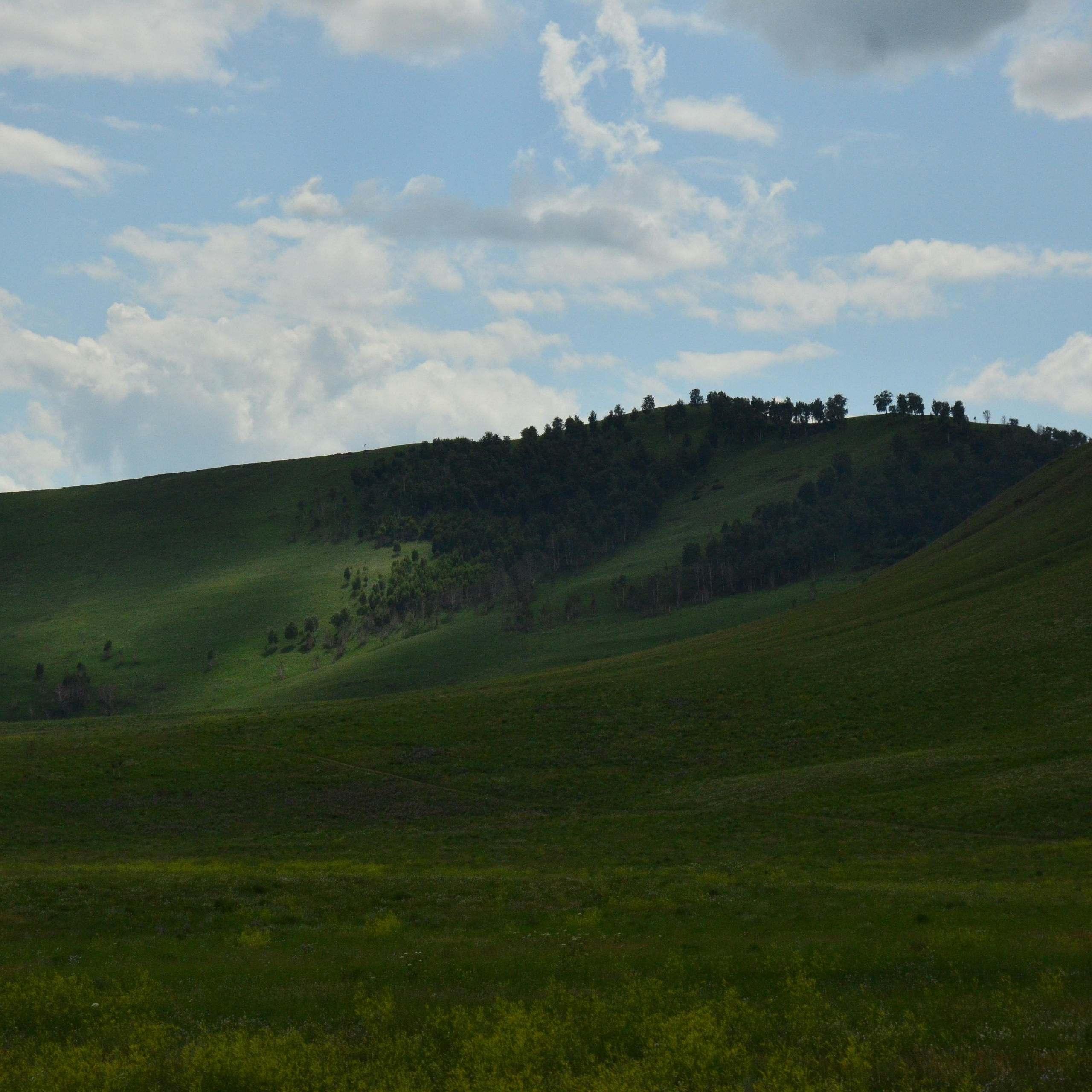 Фотограф viktor viktor