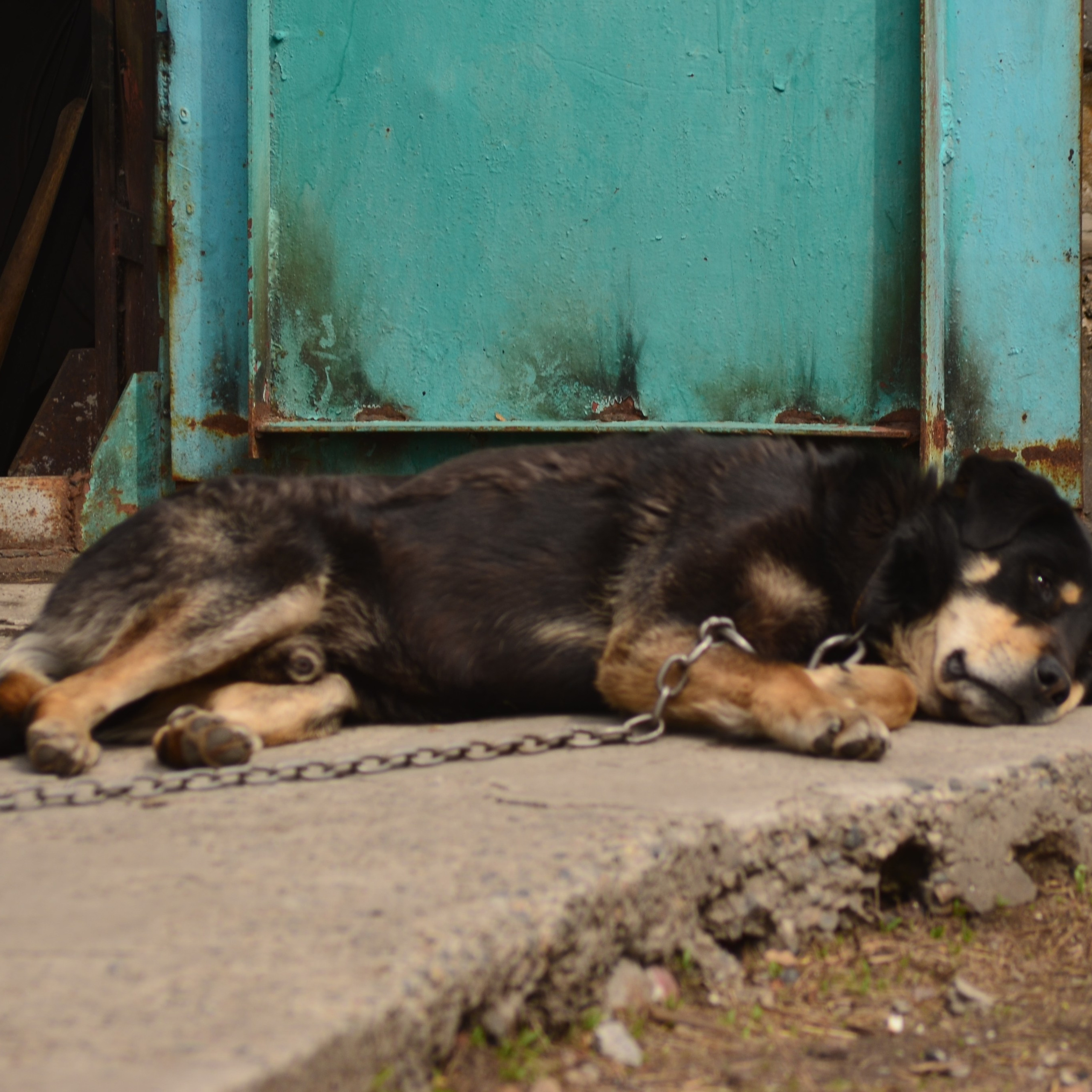 Фотограф viktor viktor