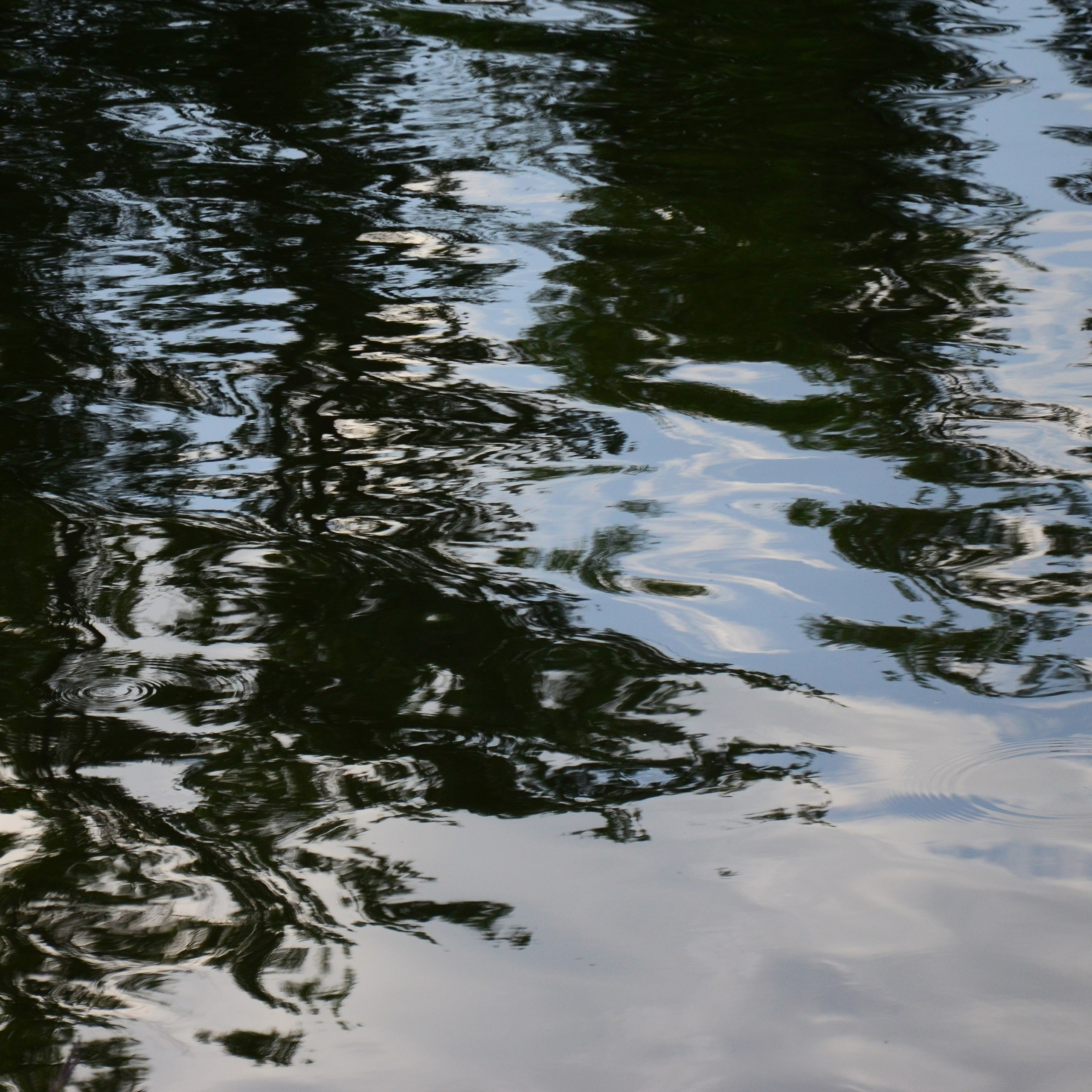 Фотограф viktor viktor