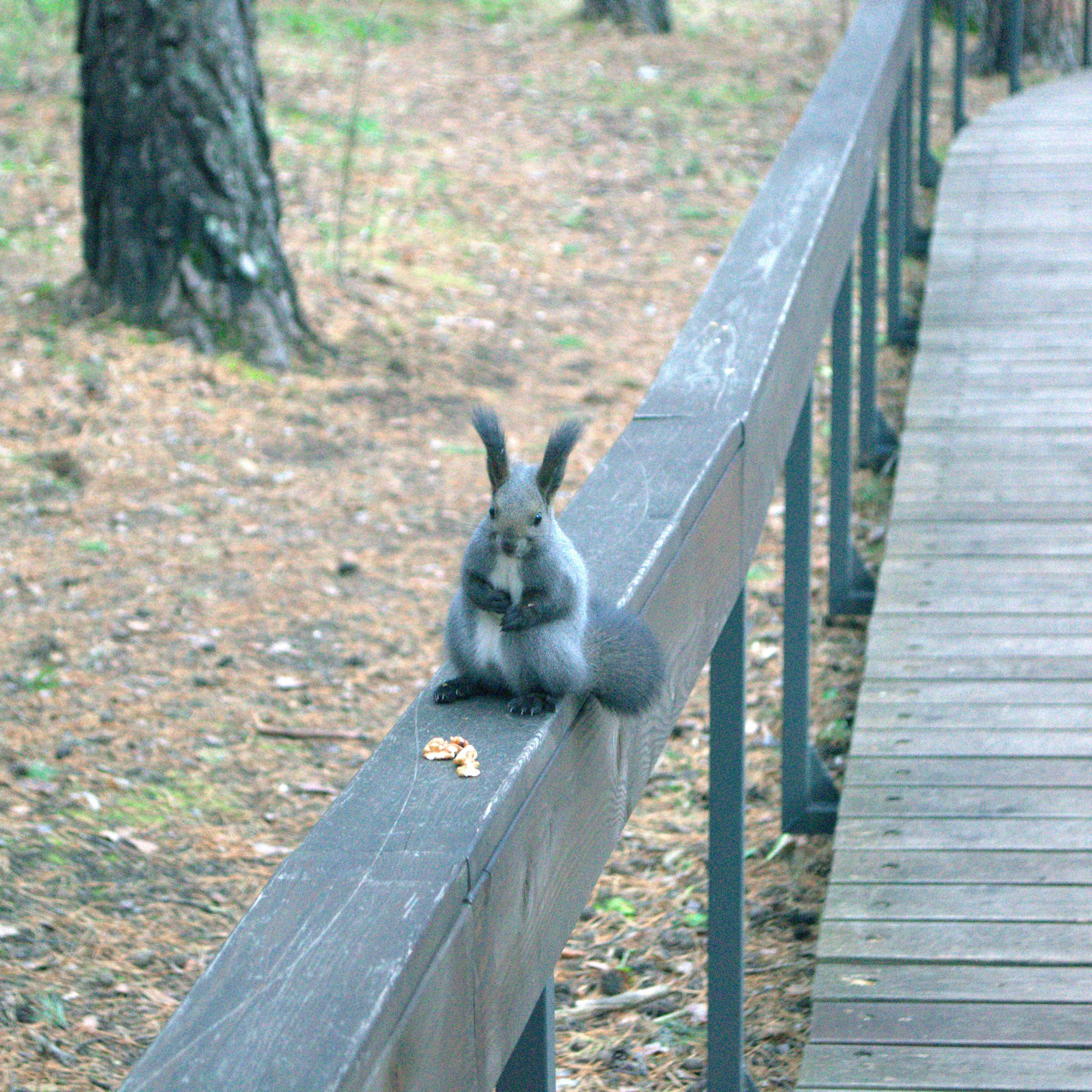 Фотограф viktor viktor