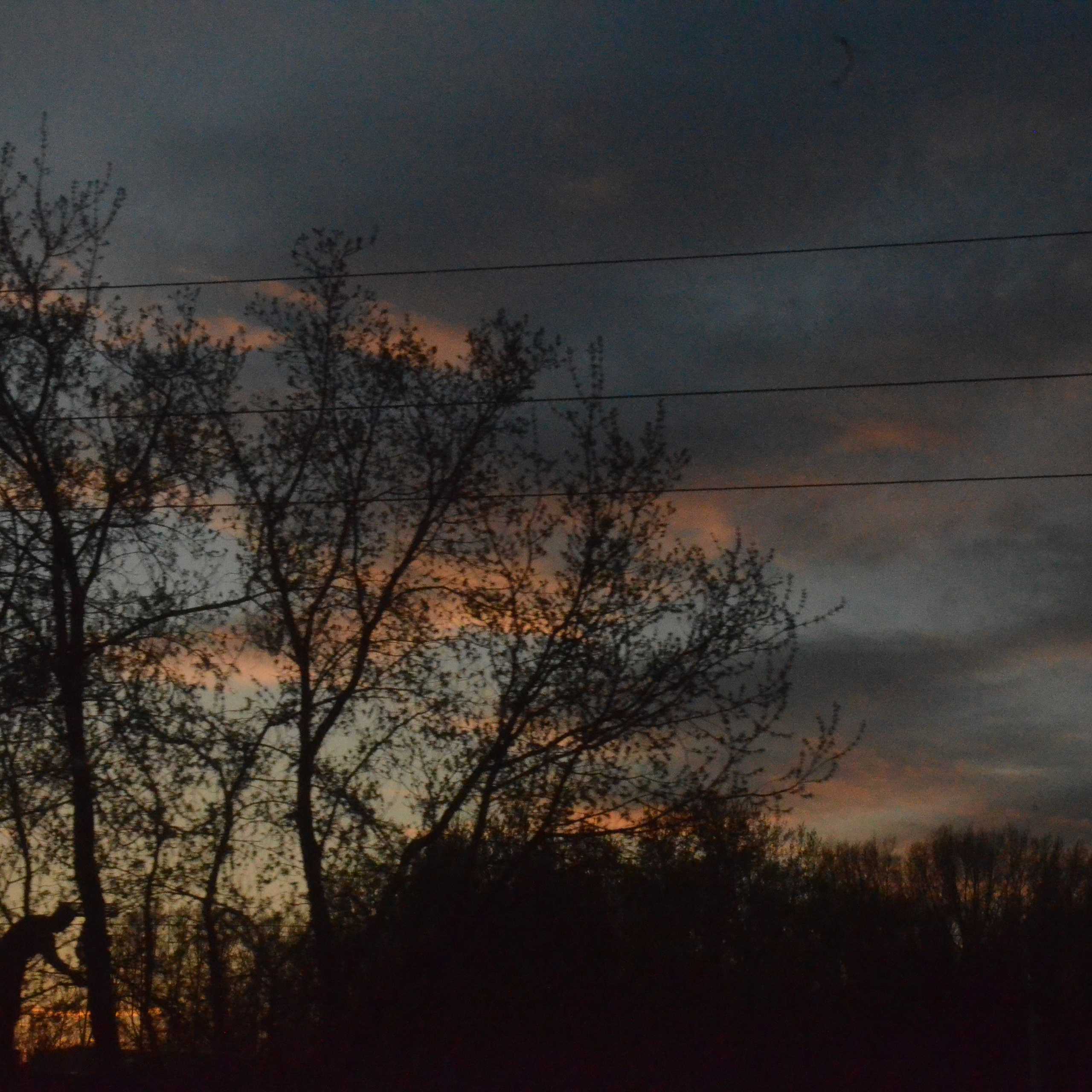 Фотограф viktor viktor