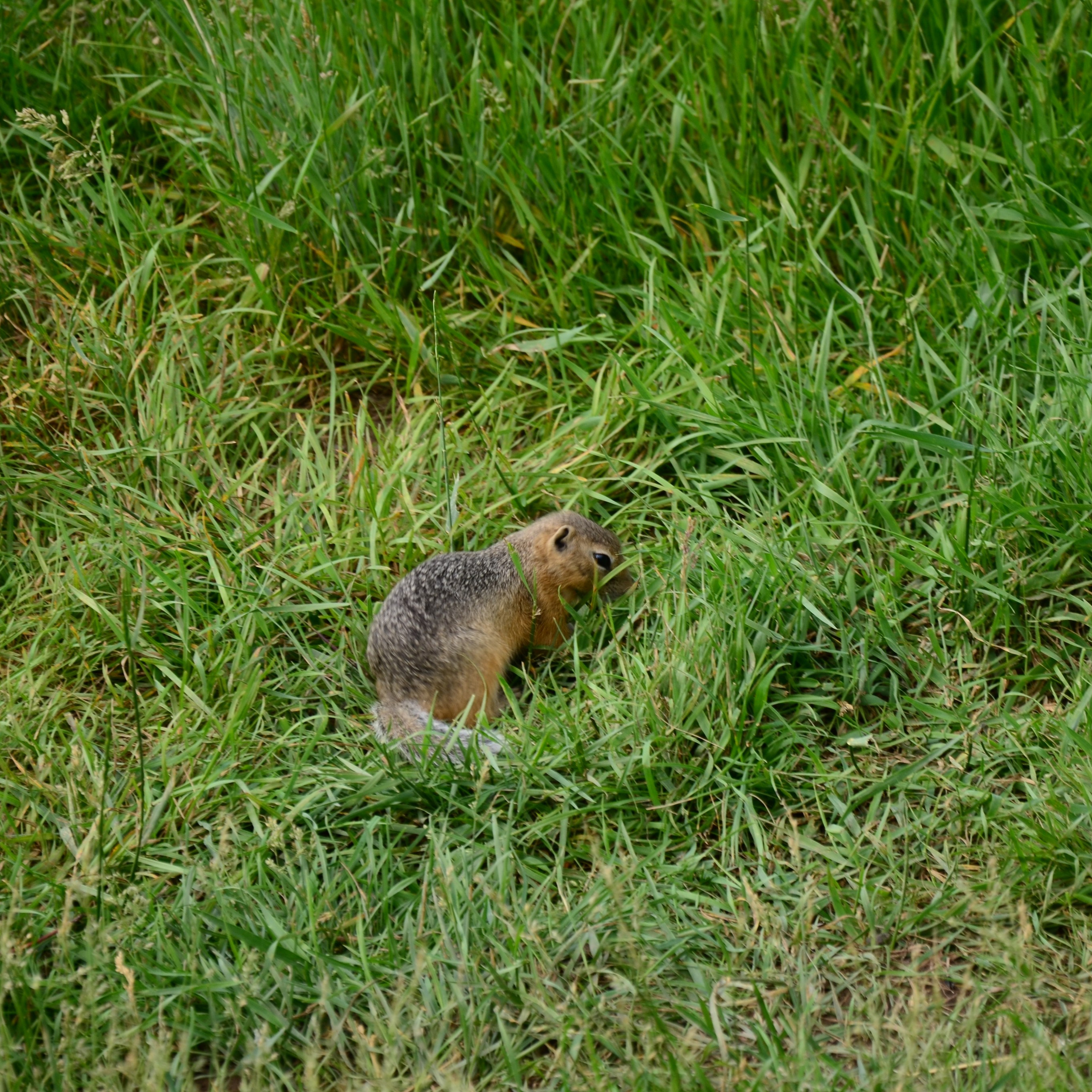 Фотограф viktor viktor