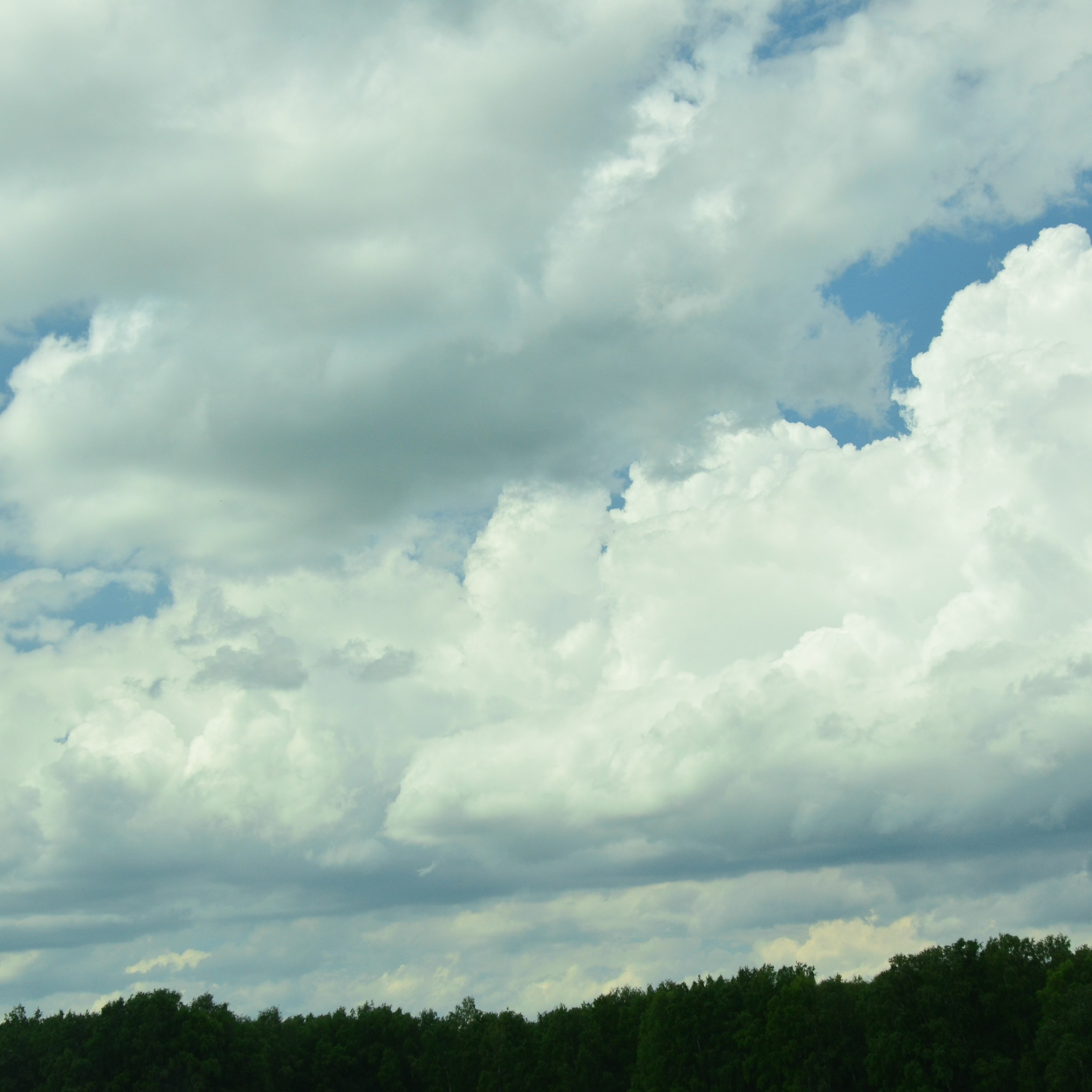 Фотограф viktor viktor