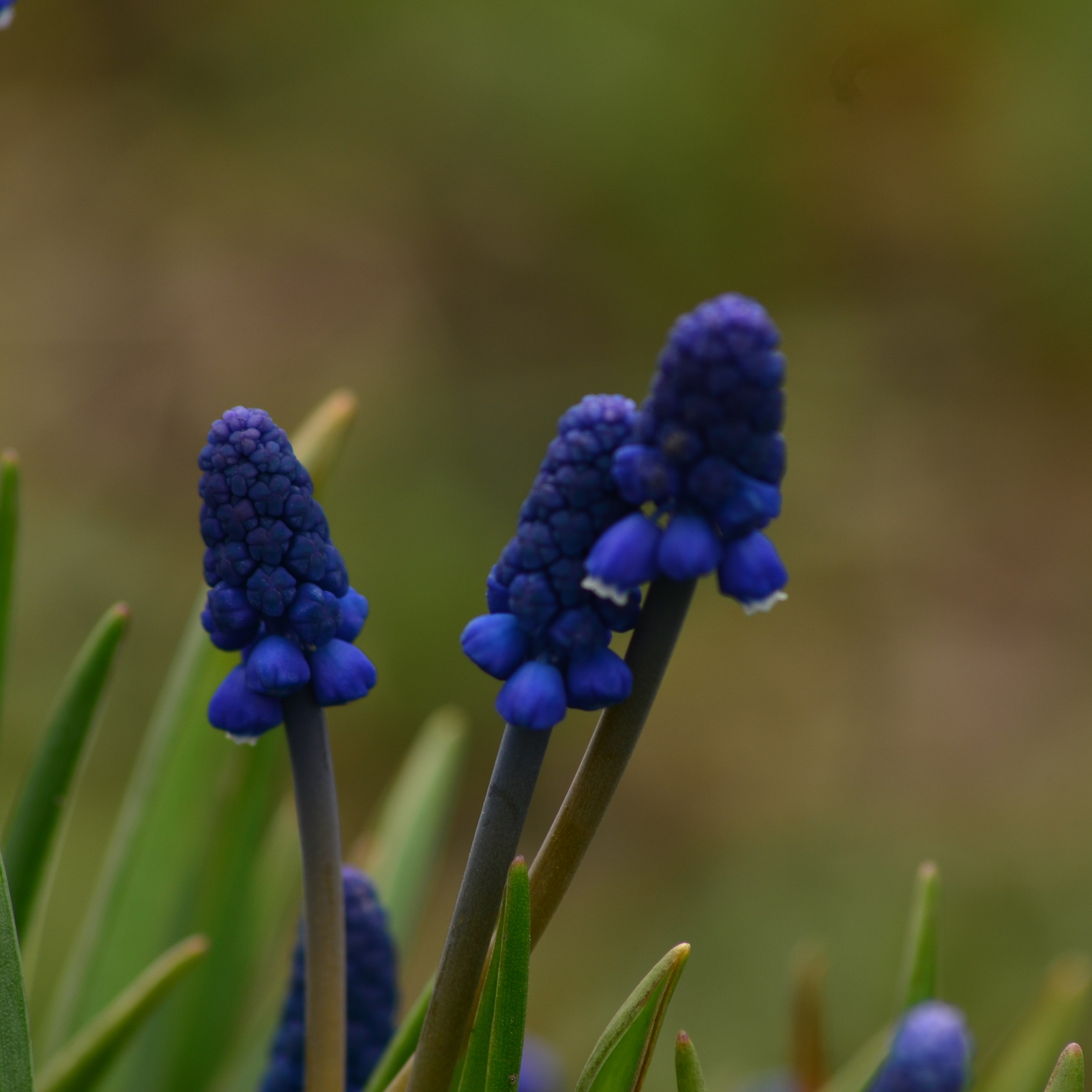 Фотограф viktor viktor