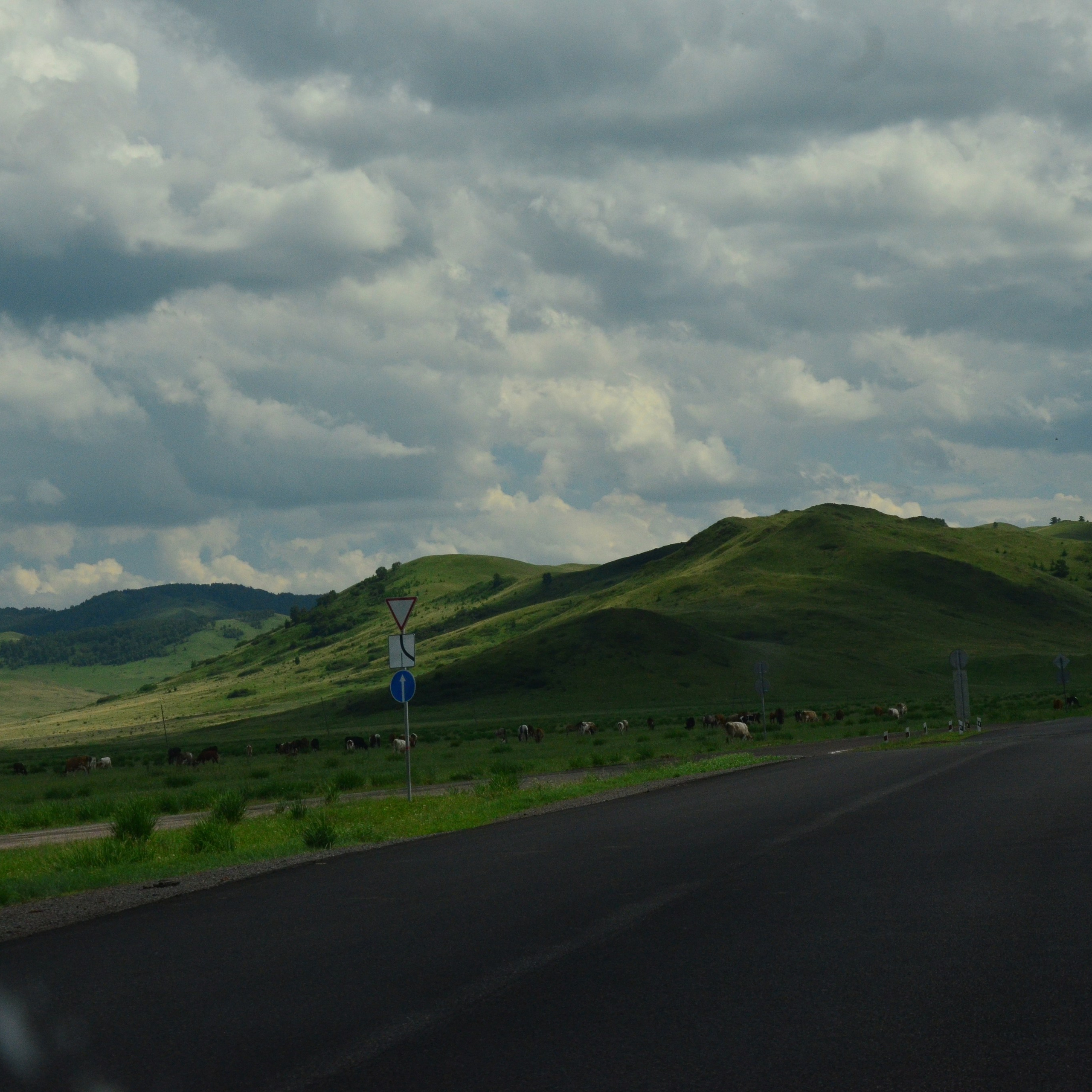 Фотограф viktor viktor