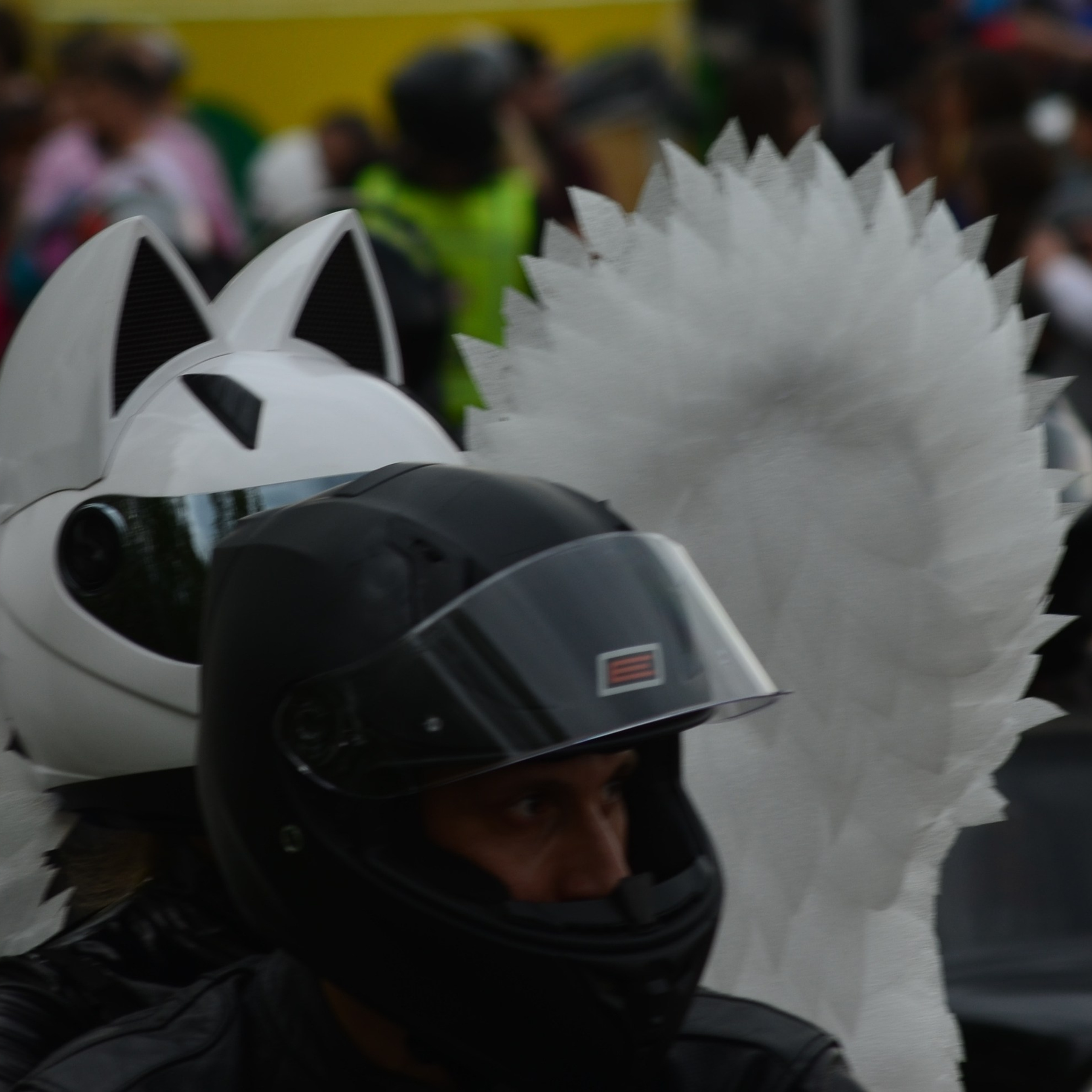 Фотограф viktor viktor