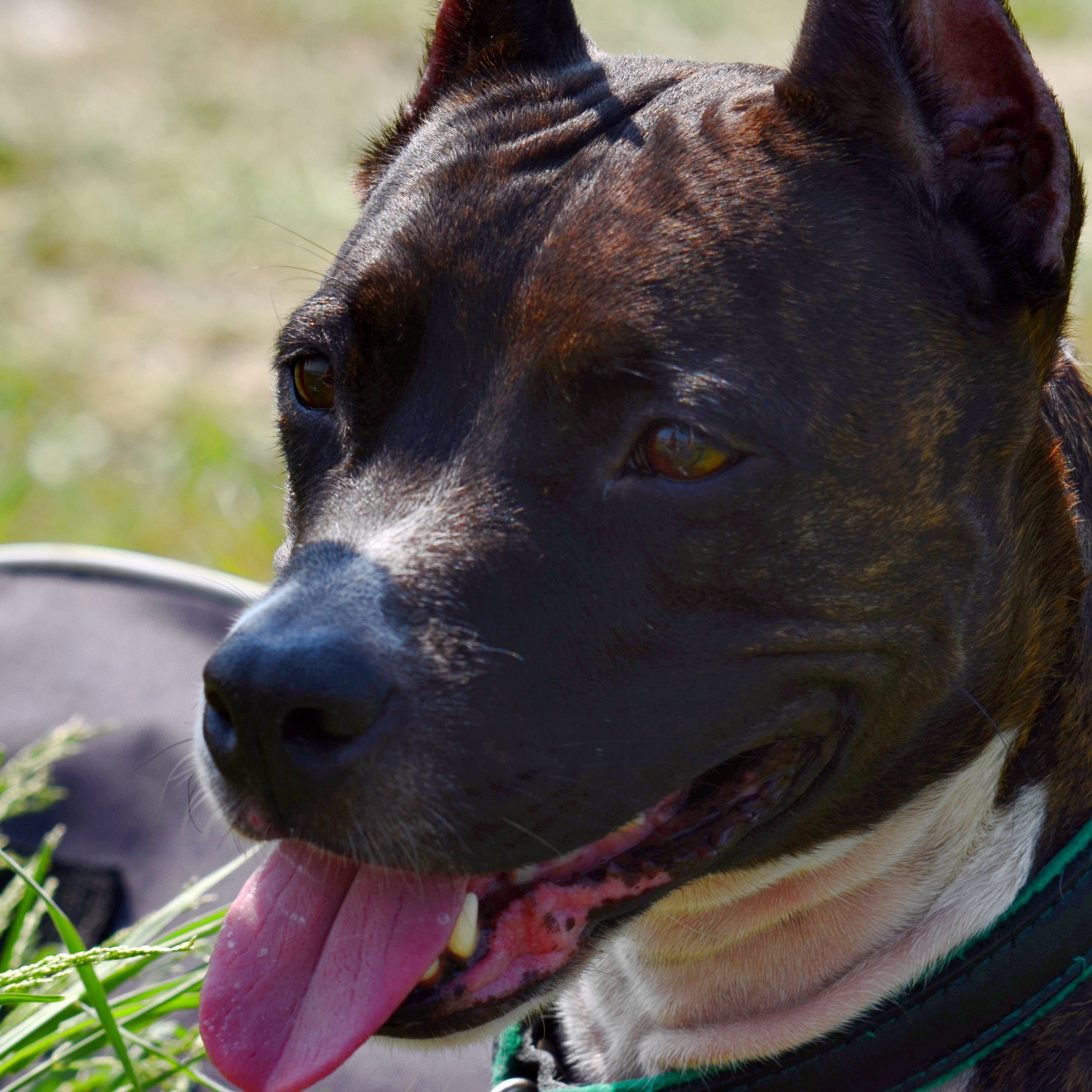 Фотограф viktor viktor