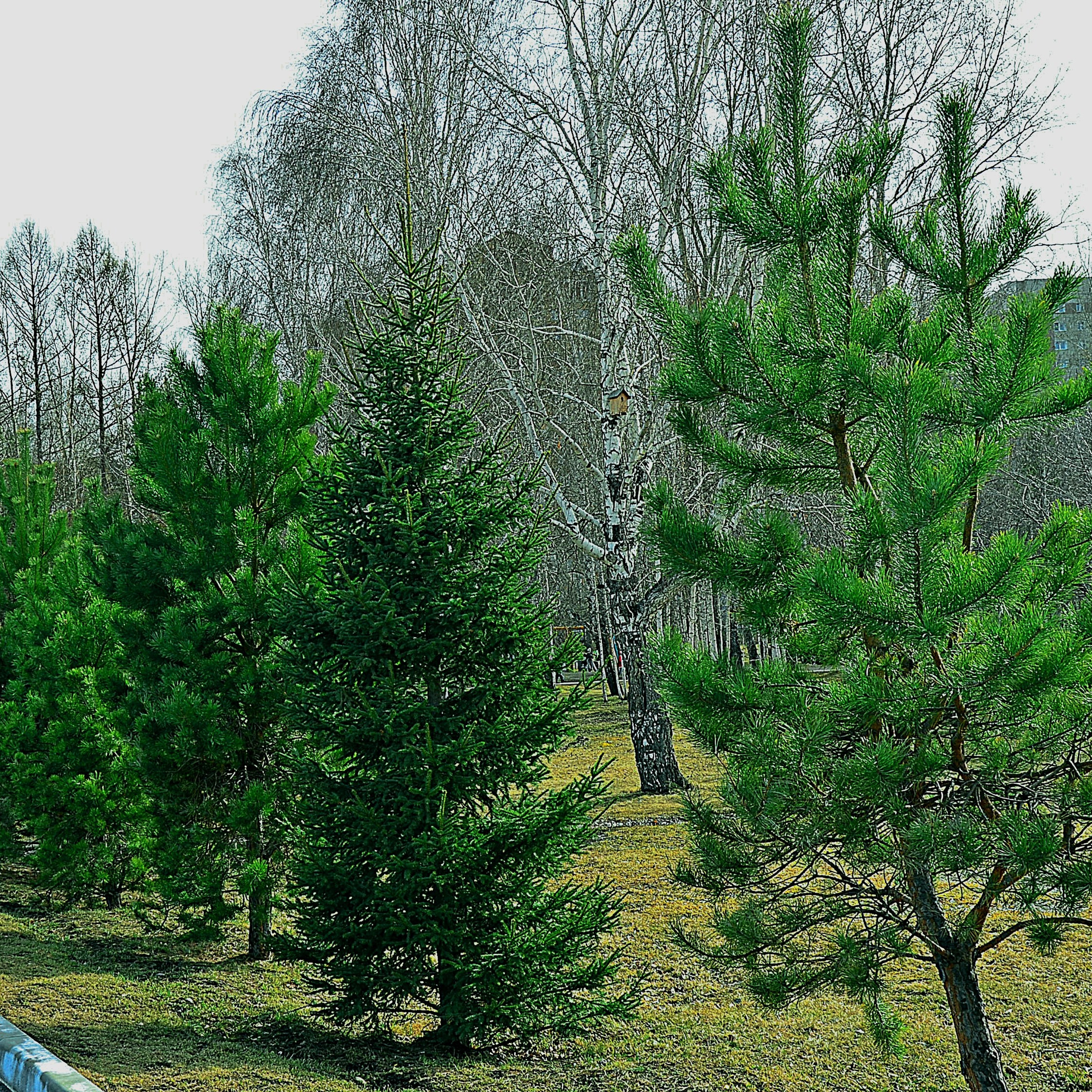 Фотограф viktor viktor