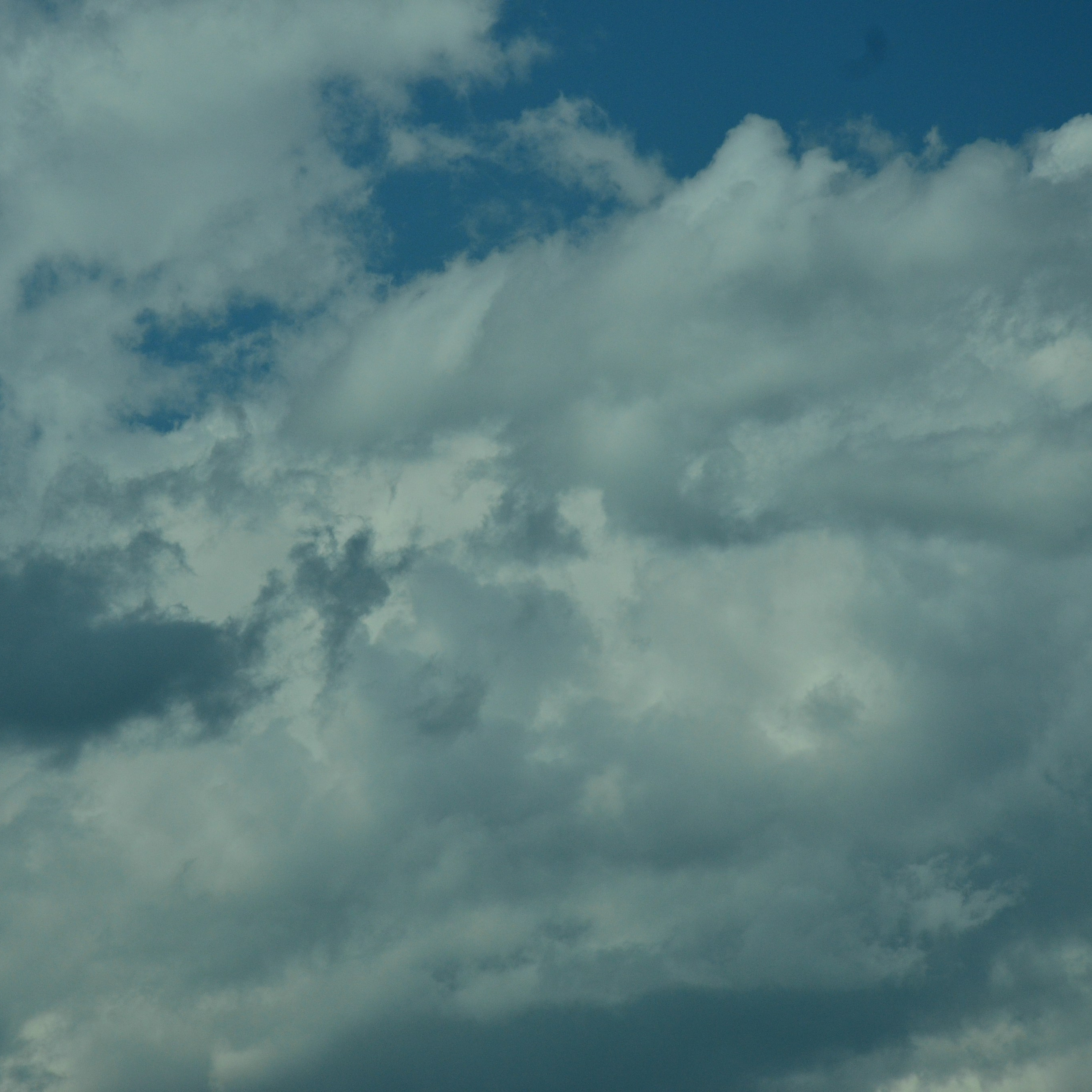 Фотограф viktor viktor