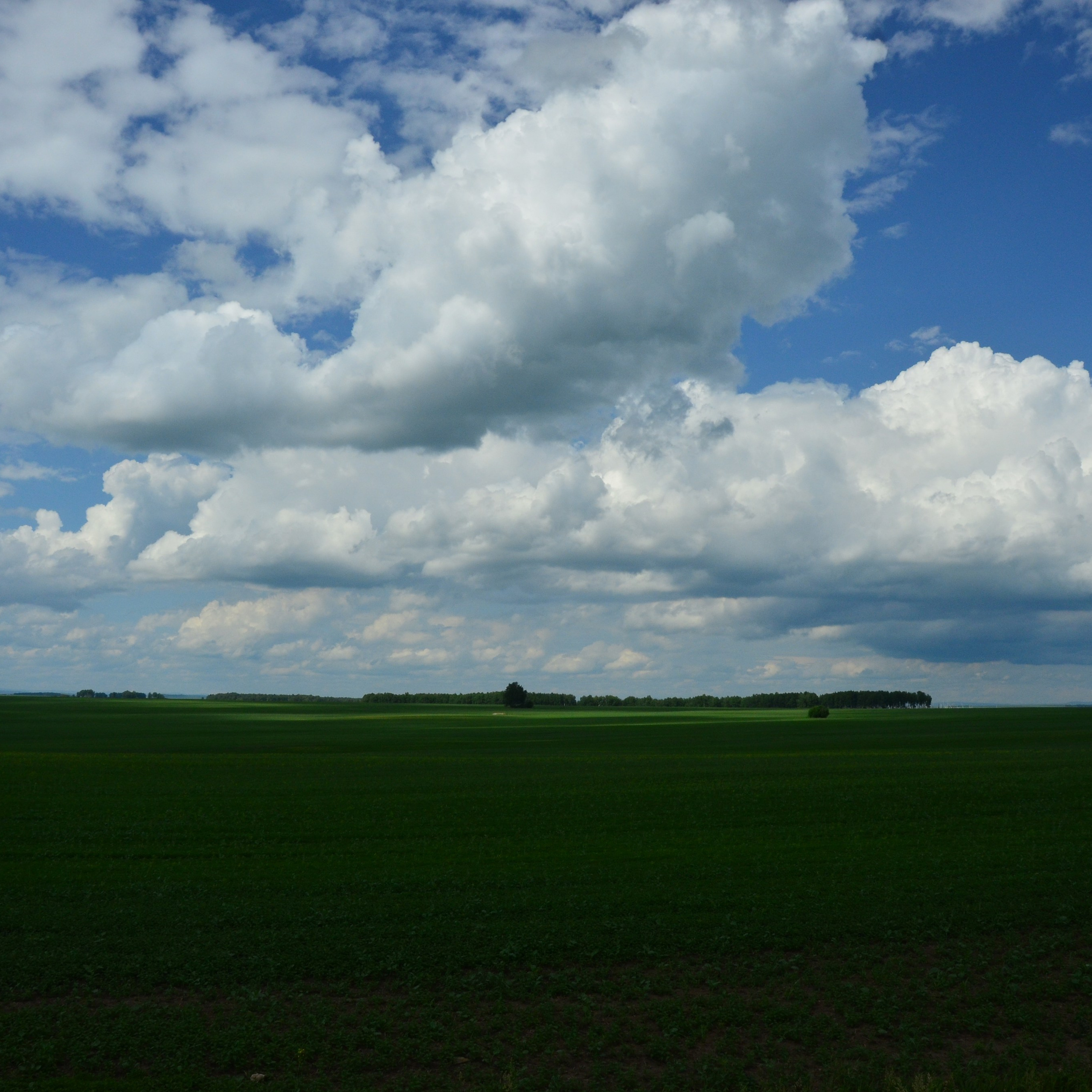 Фотограф viktor viktor