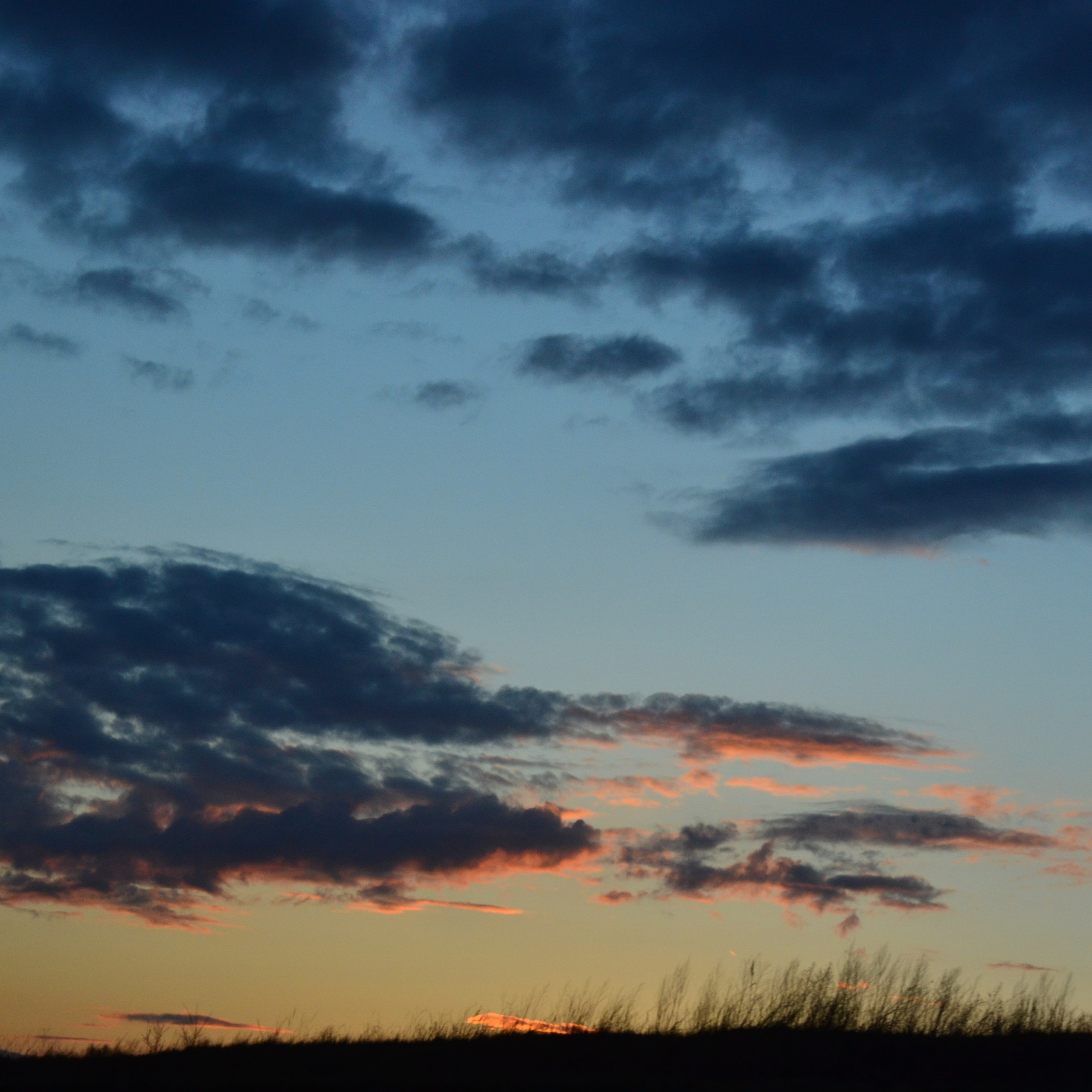 Фотограф viktor viktor