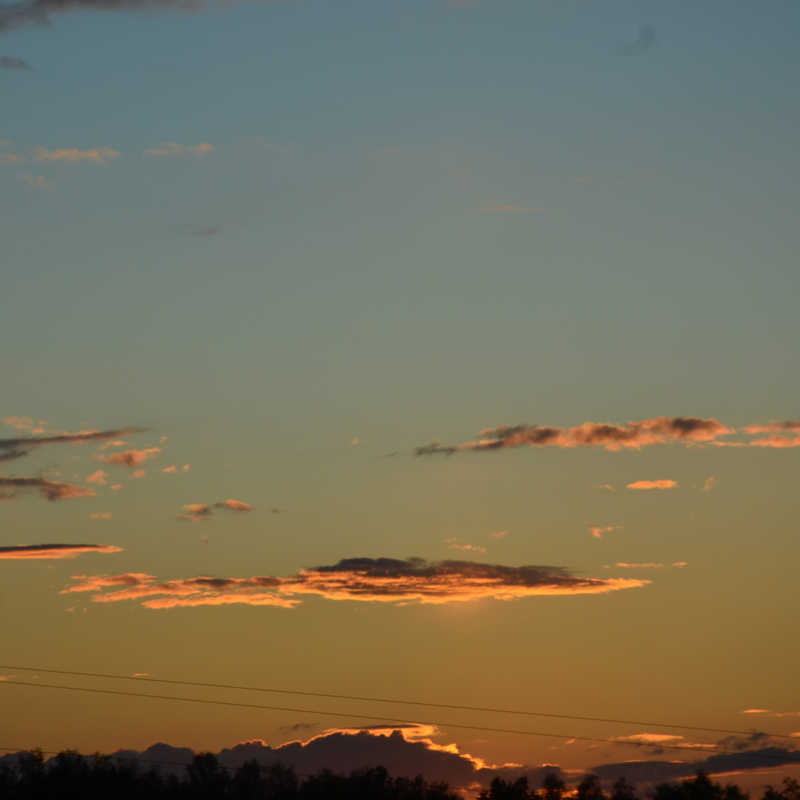 Фотограф viktor viktor