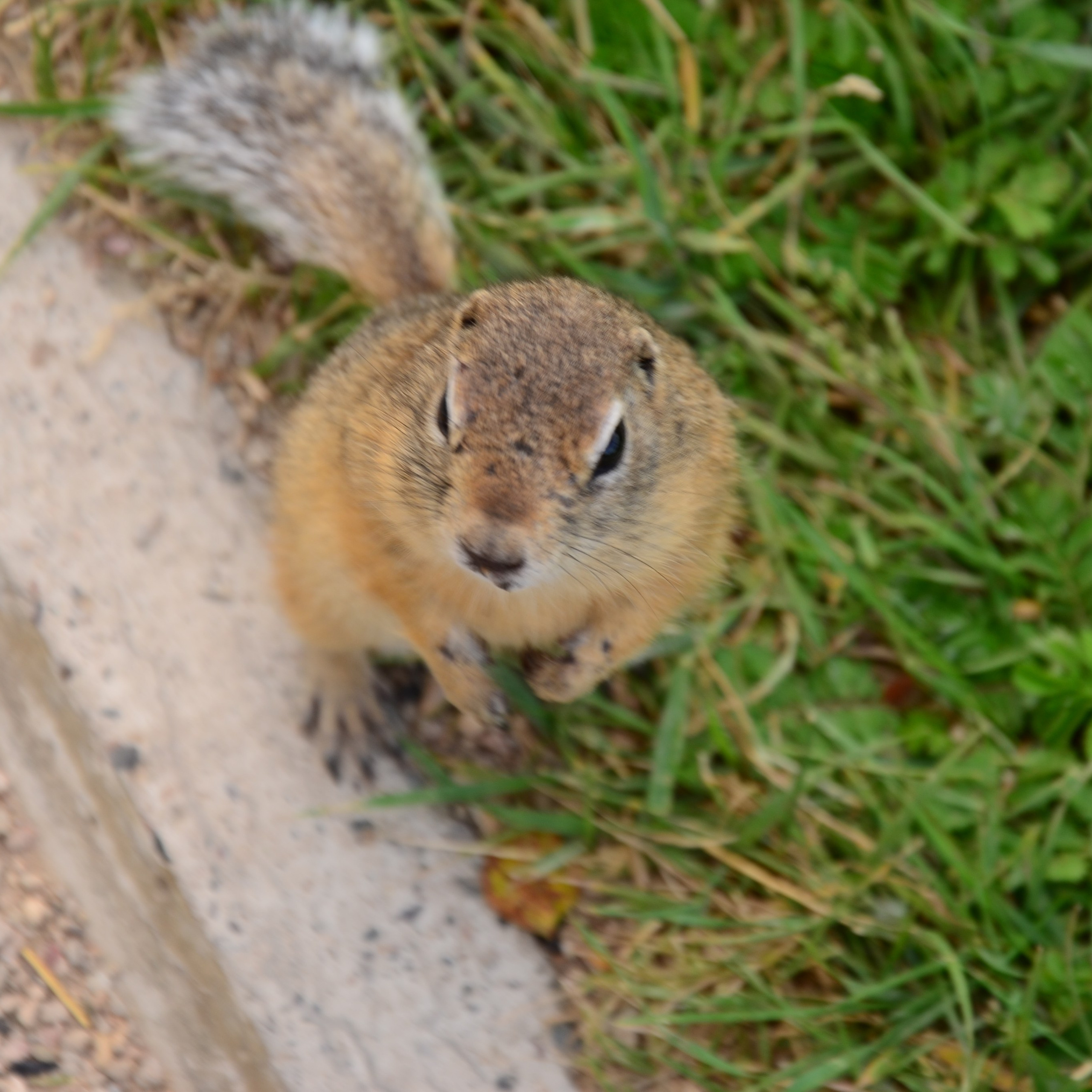 Фотограф viktor viktor
