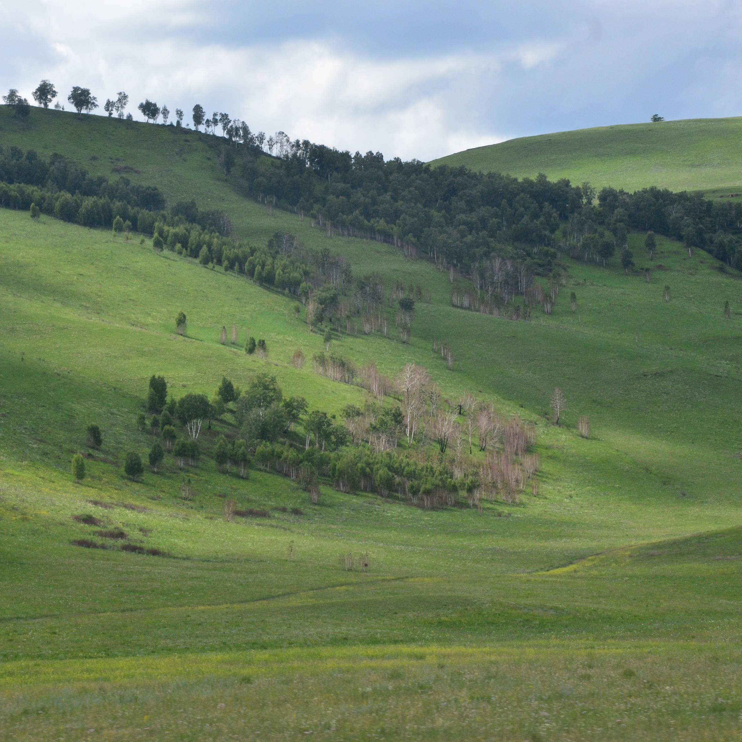 Фотограф viktor viktor