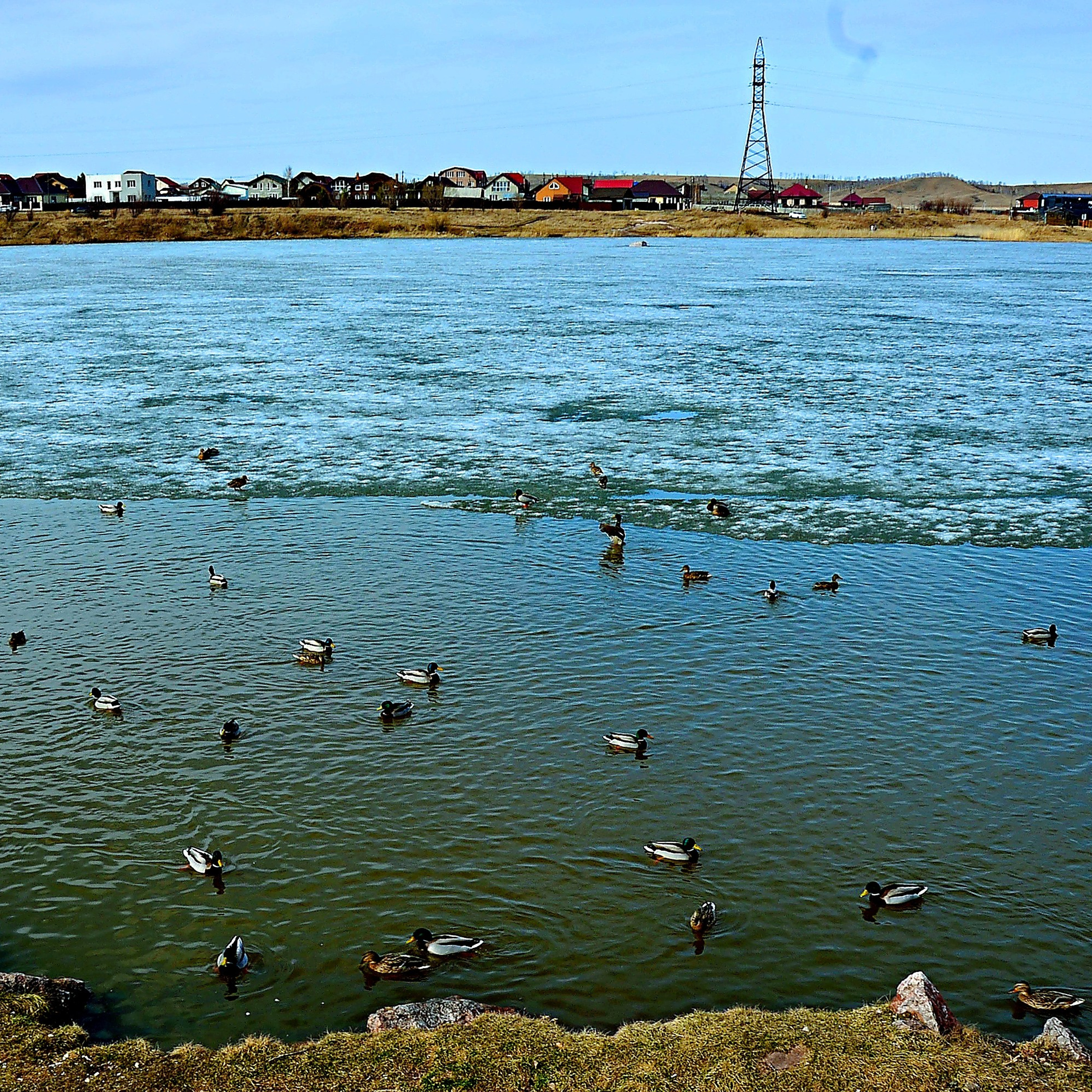Фотограф viktor viktor