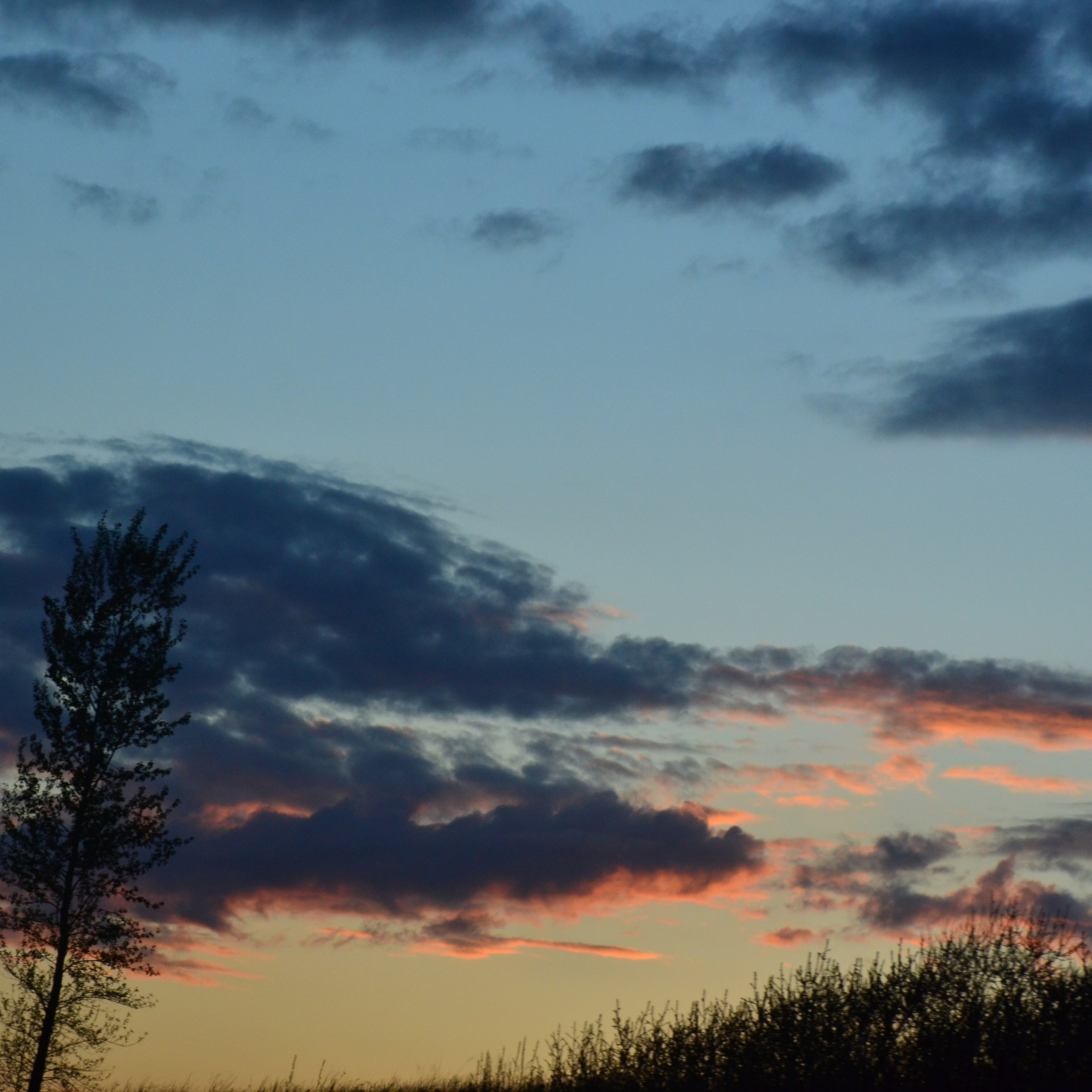 Фотограф viktor viktor